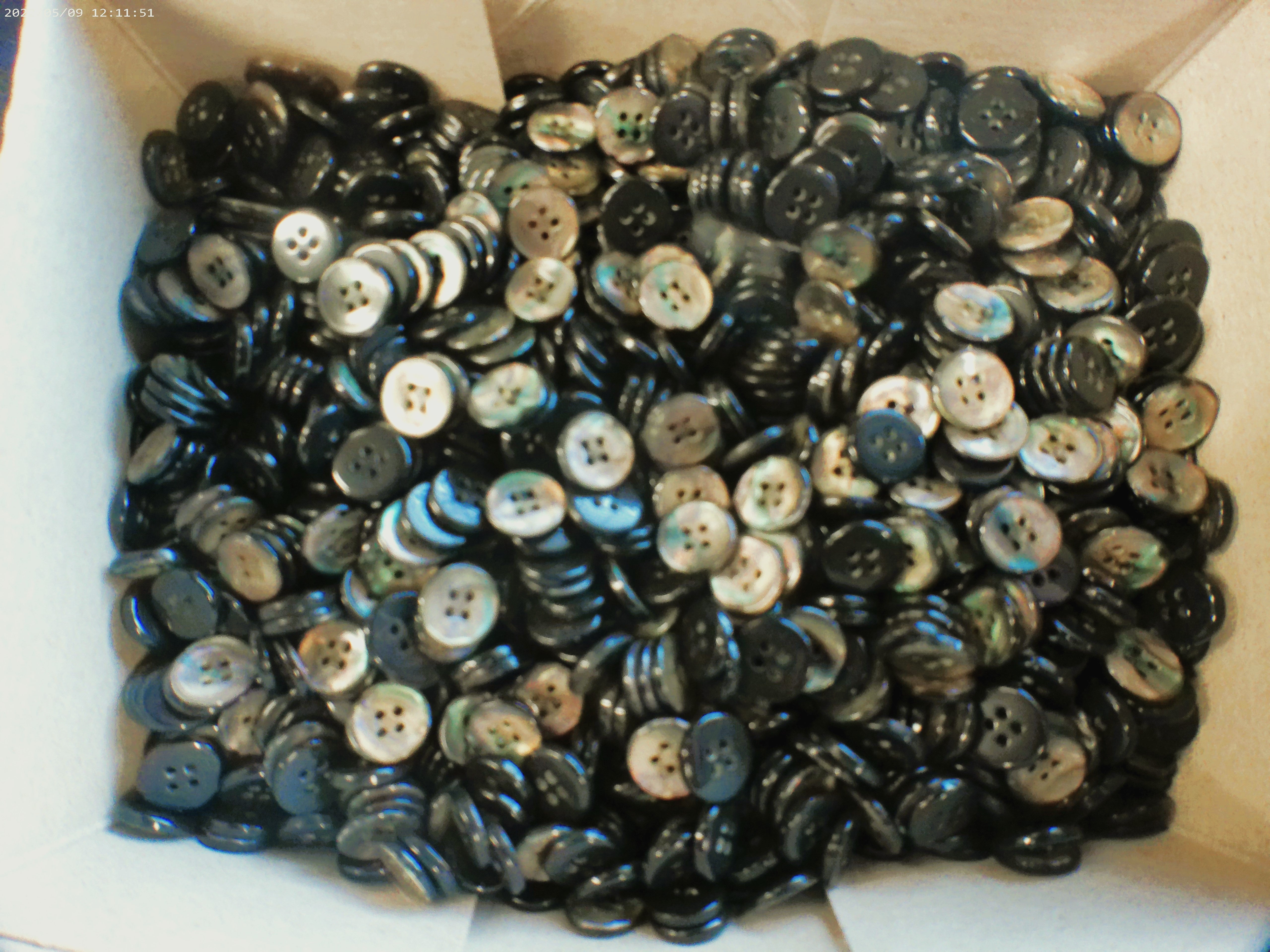 Sea Green Shirting Buttons – 14 Piece Set