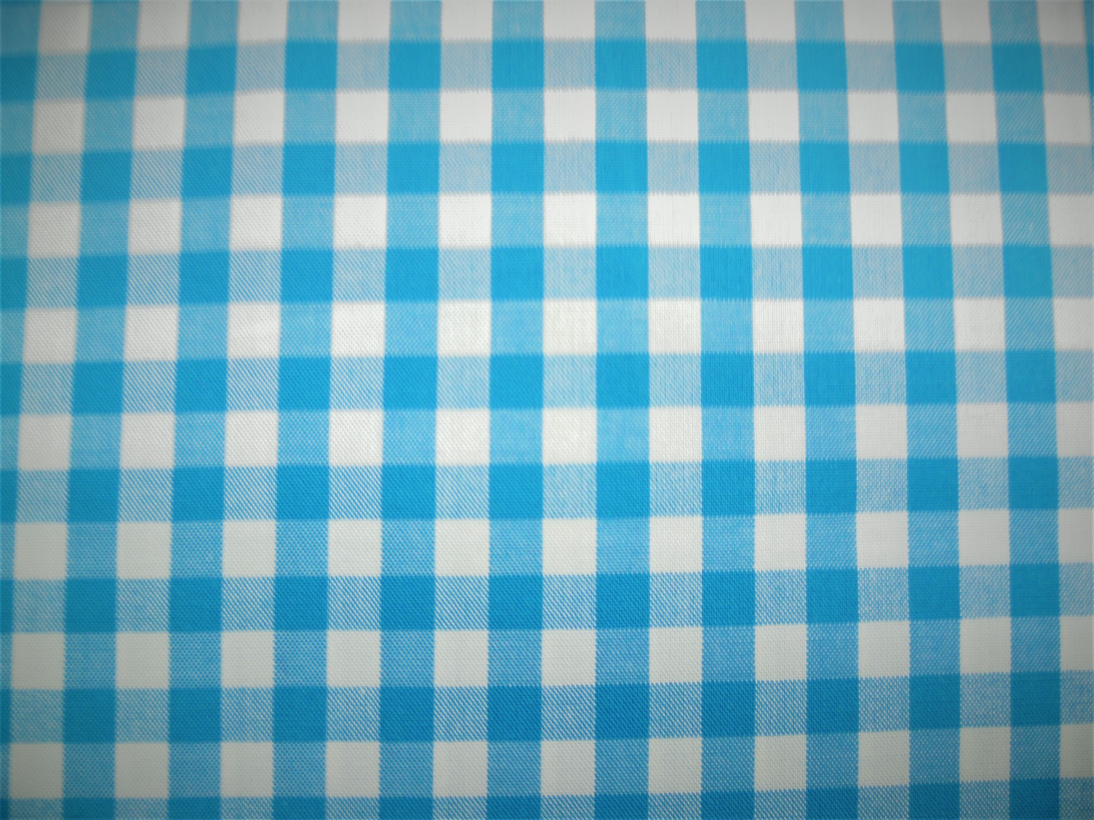 Teal Blue White Check Cotton Shirting