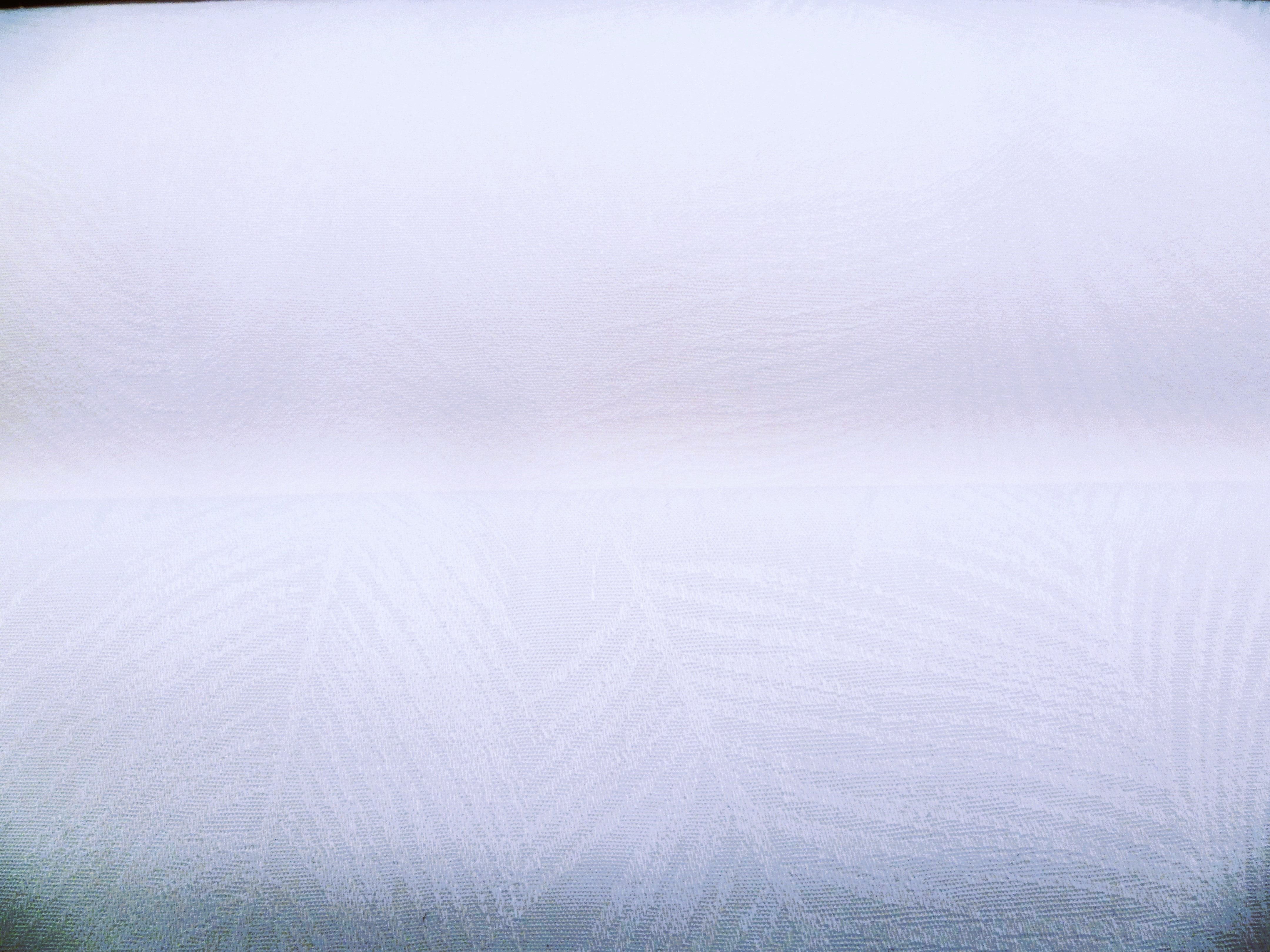 White Floral Egyptian Cotton Shirting