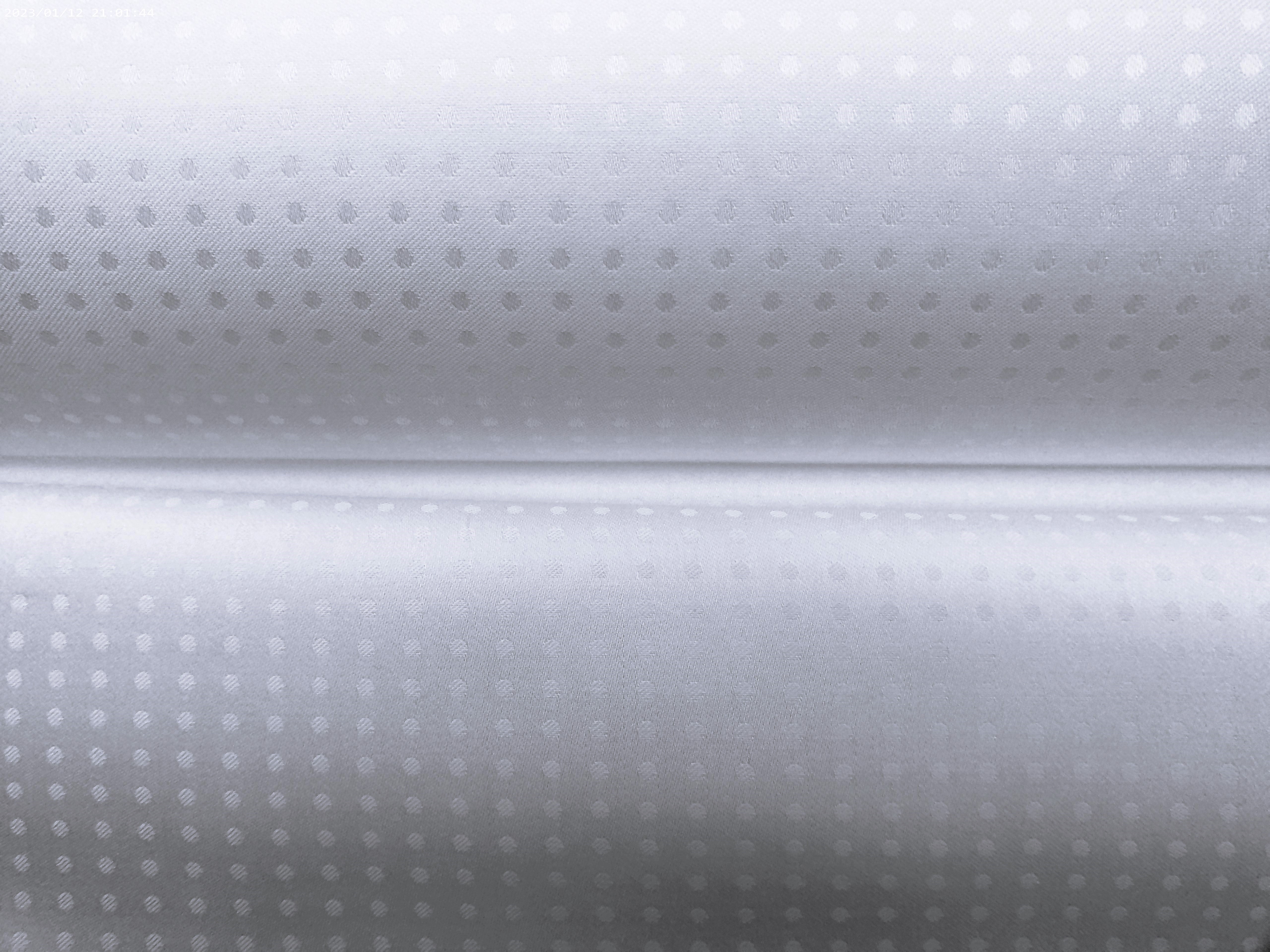 White Pin Dot Egyptian Cotton Shirting