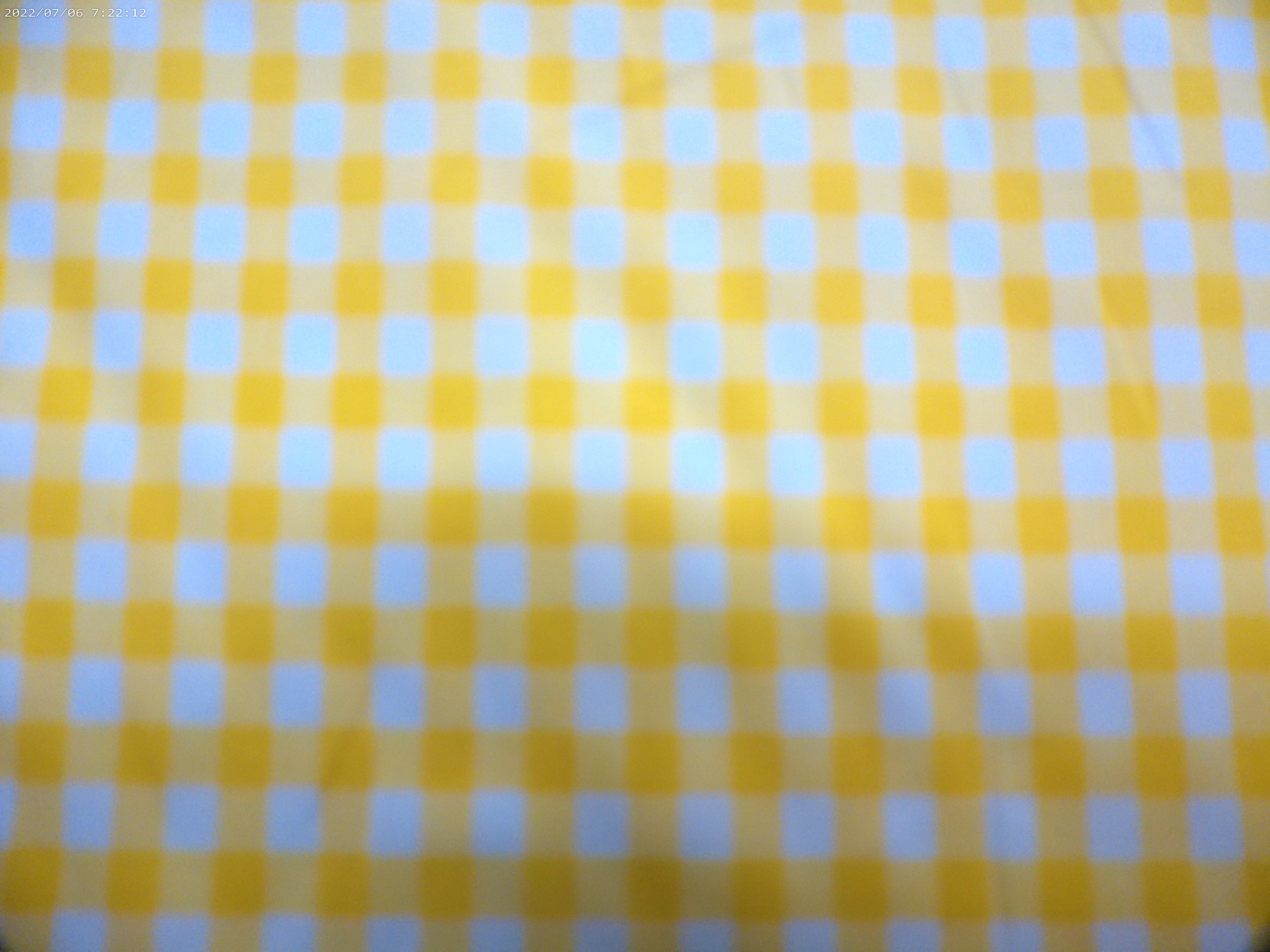 White Yellow Check Egyptian Cotton Shirting