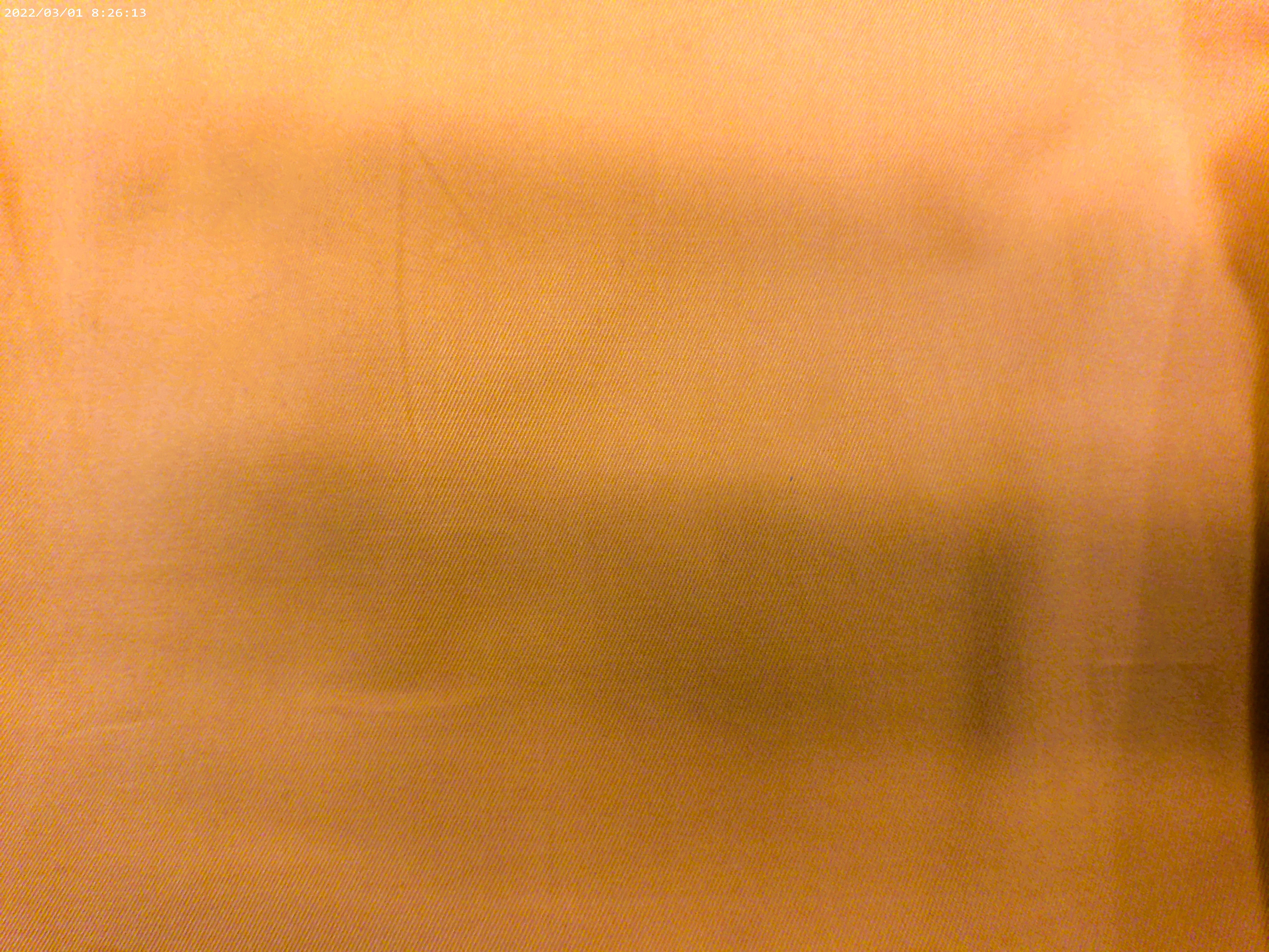 Yellow Gold Plain Egyptian Cotton Shirting