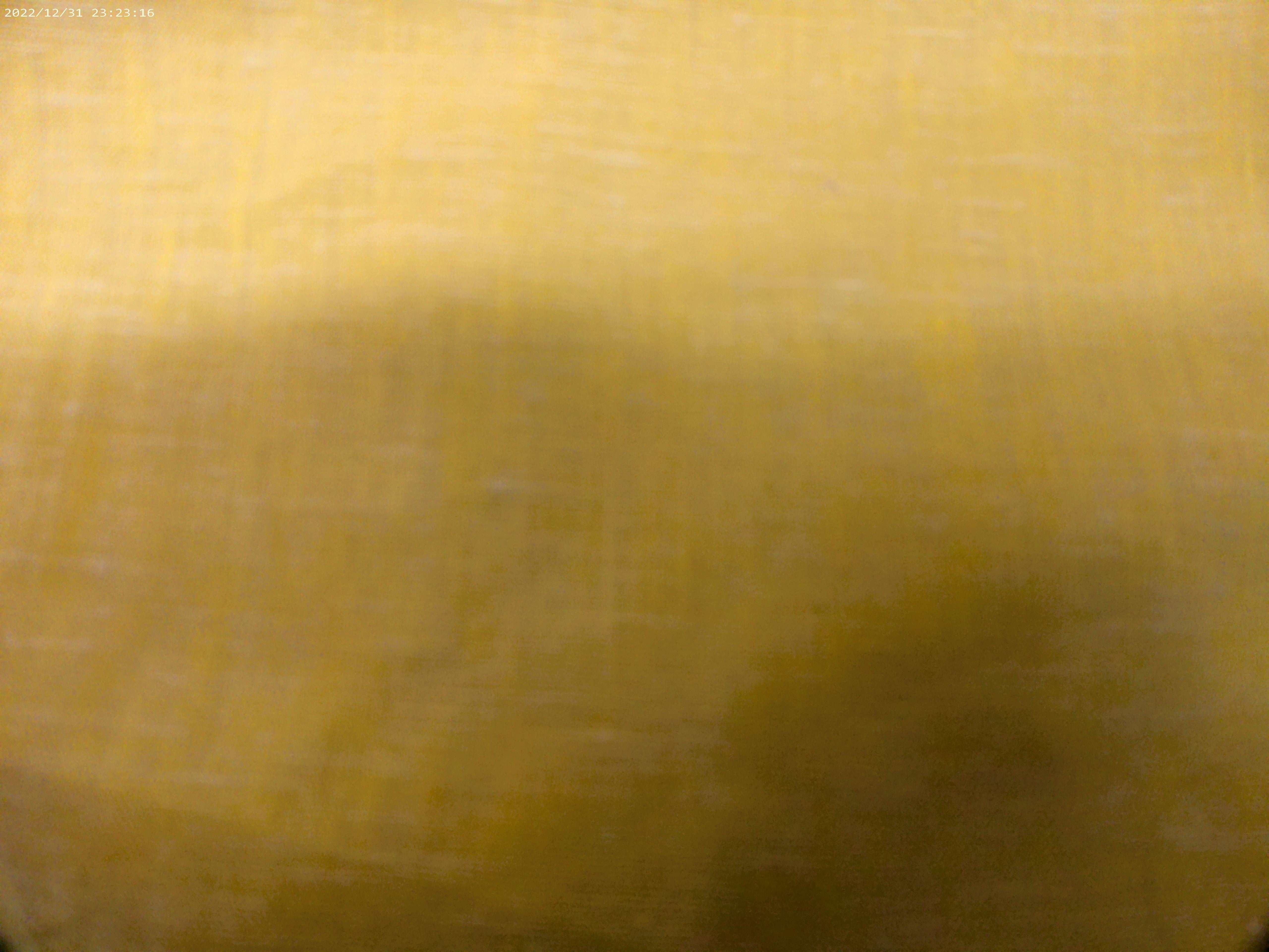 Yellow Gold Plain Linen Shirting