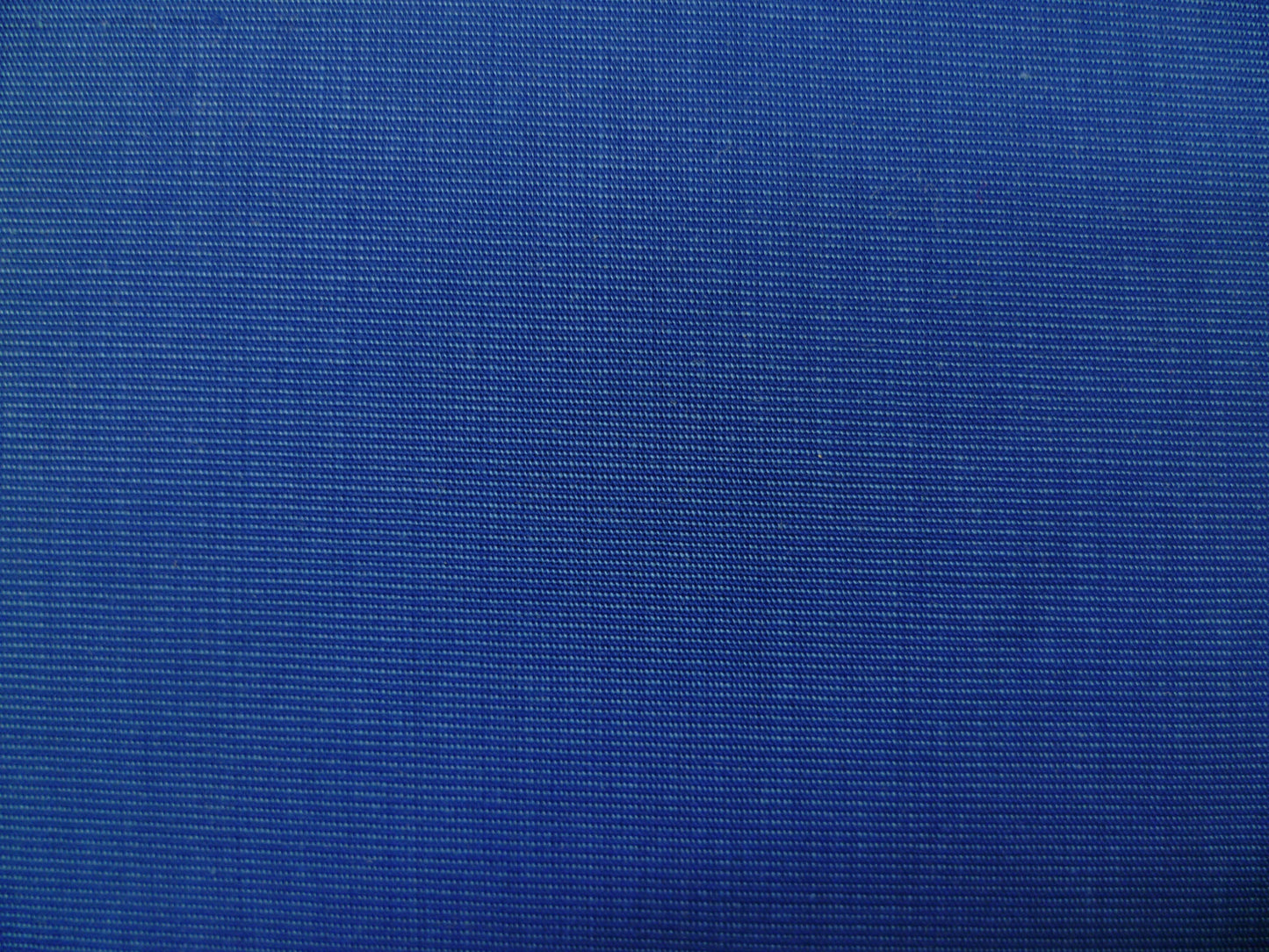 Royal Blue Solid Cotton