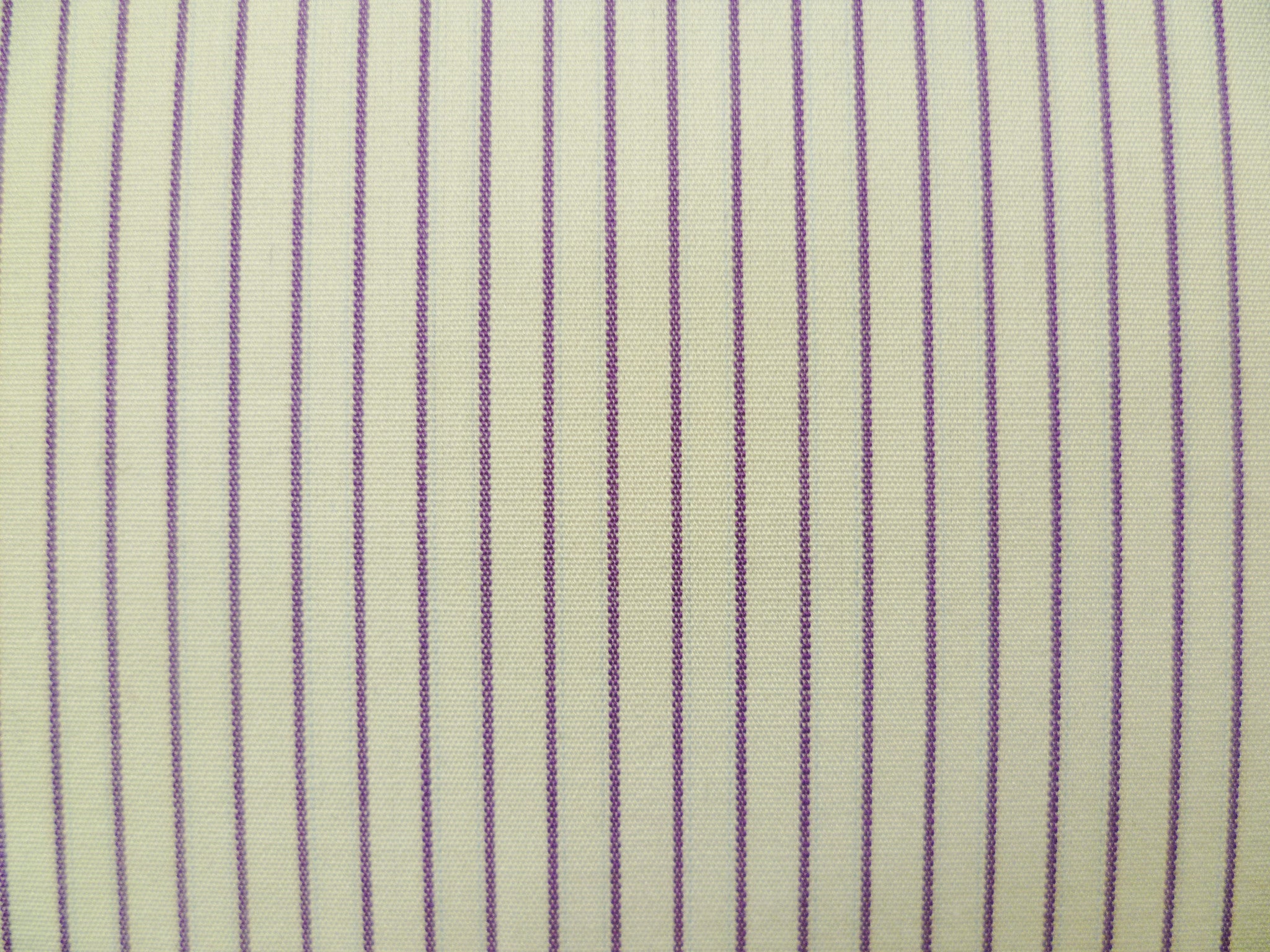 100% Egyptian Cotton