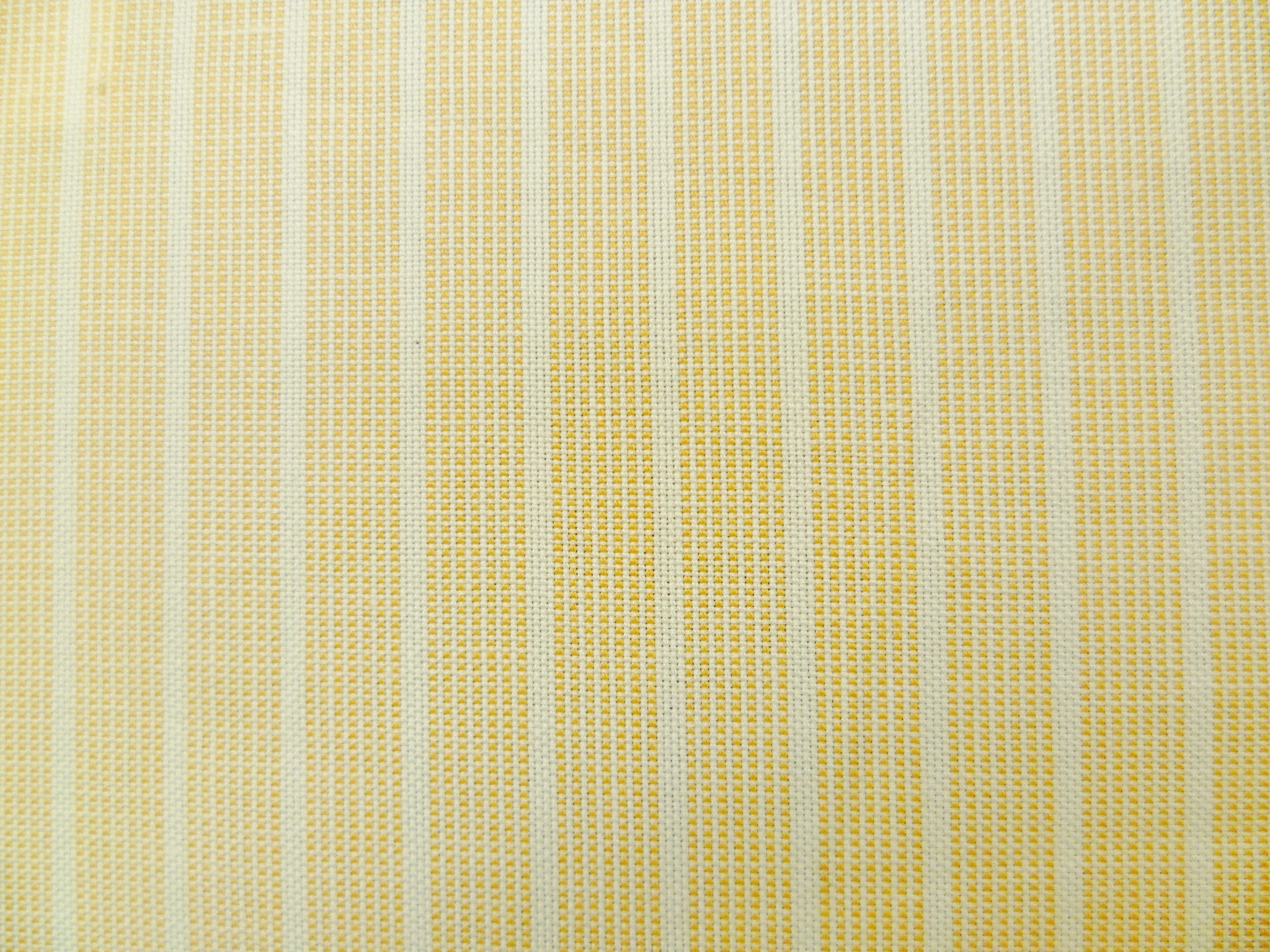 100 % Egyptian cotton ( NEW )