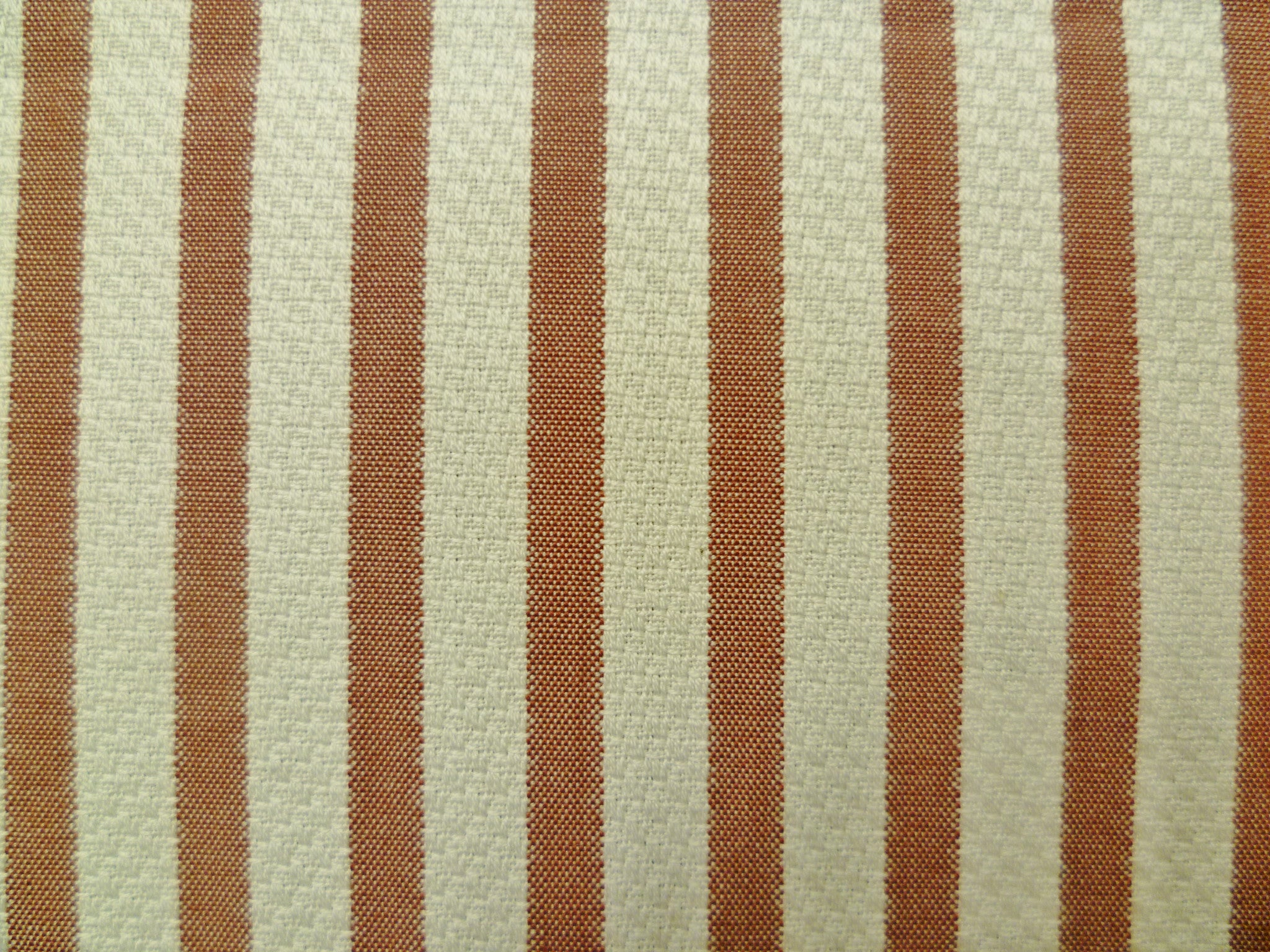 100 Egyptian  Cotton ( NEW )