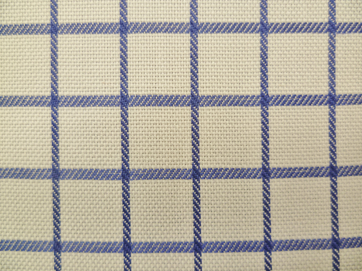 Ocean Blue and White Checked Cotton