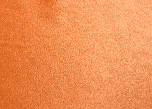 Baby Cashmere-Vicuna ( NEW )