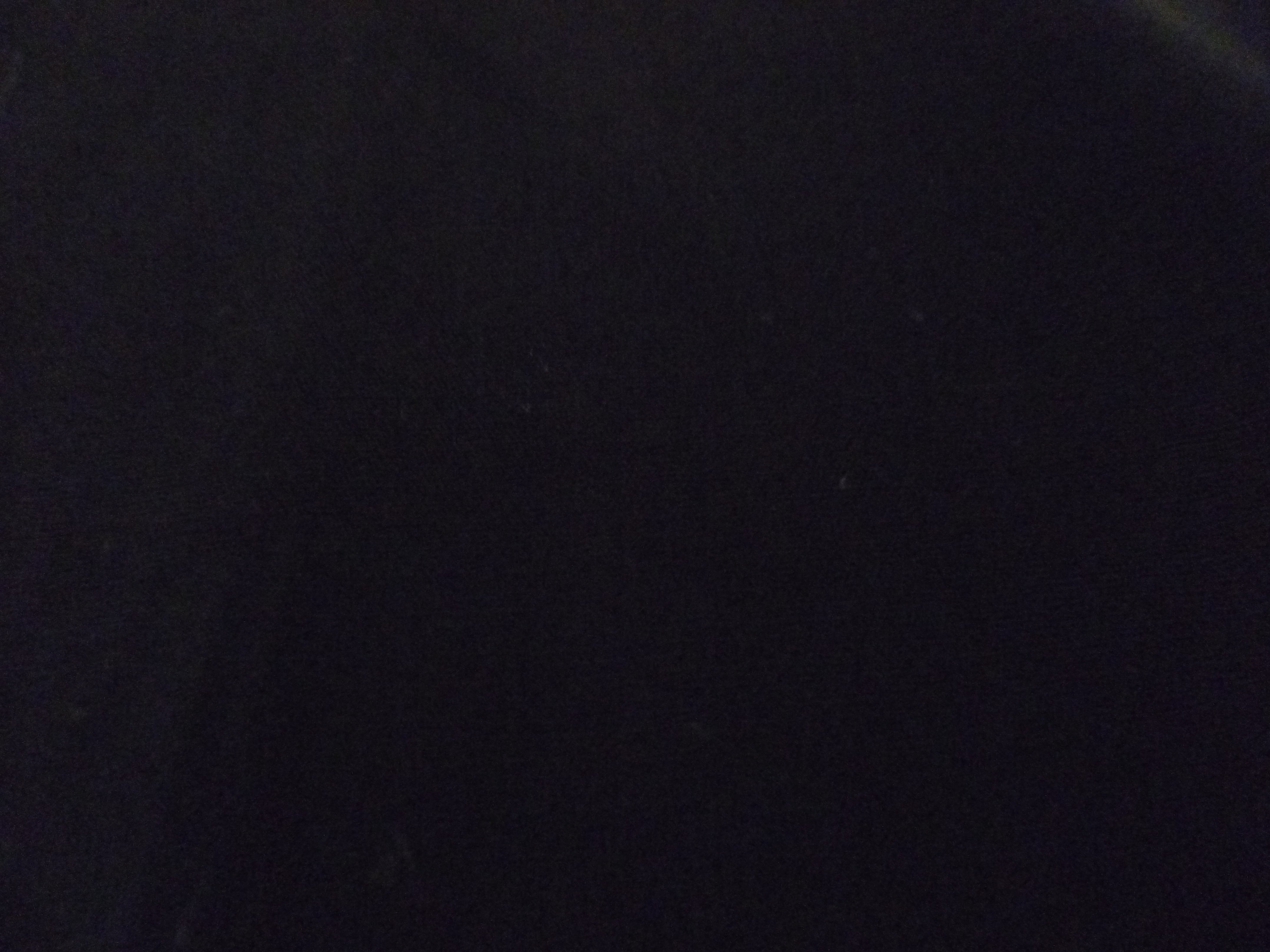 Black Plain Cotton Dresses Shirting