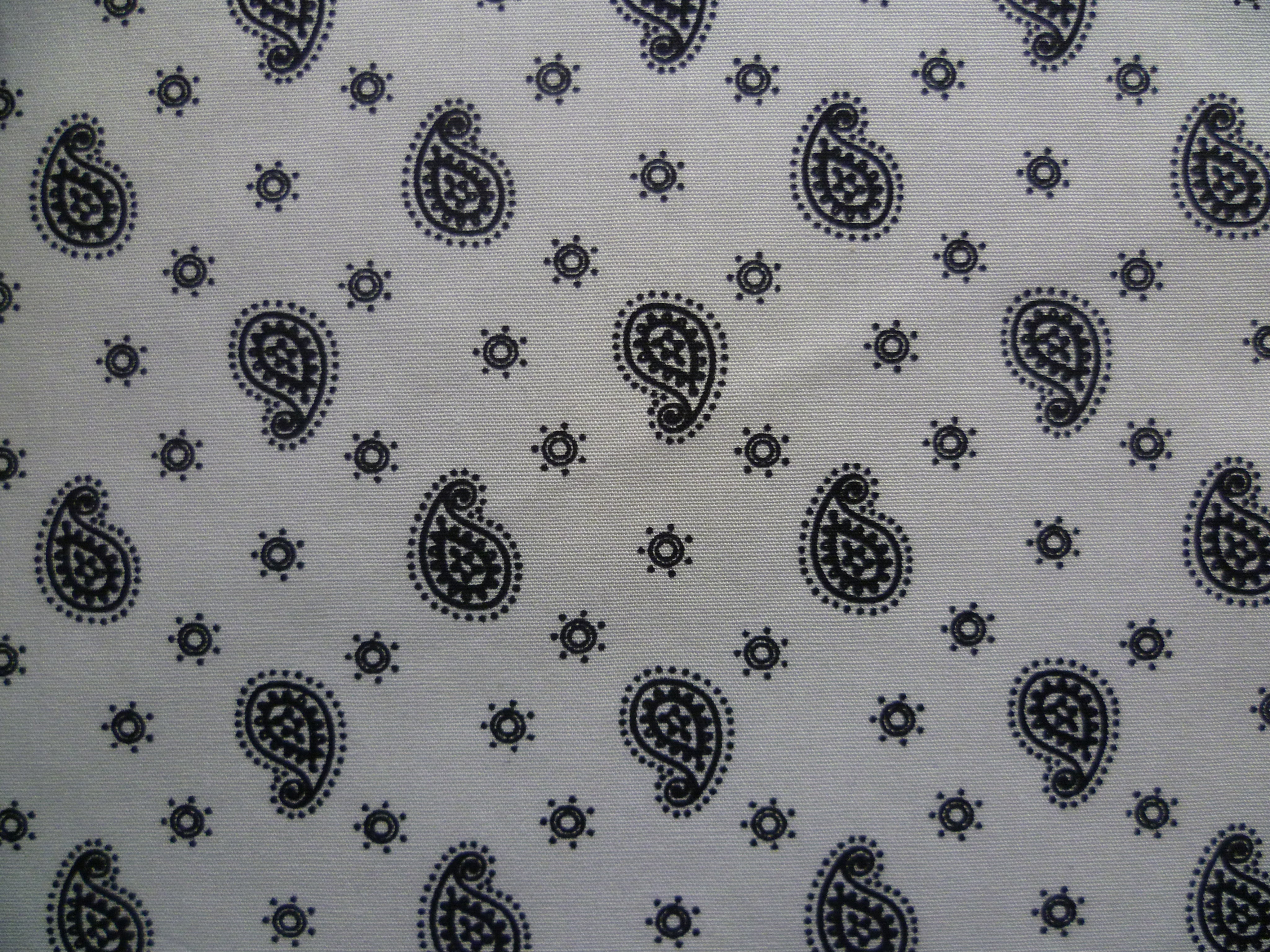 Black White Paisley Cotton Shirting