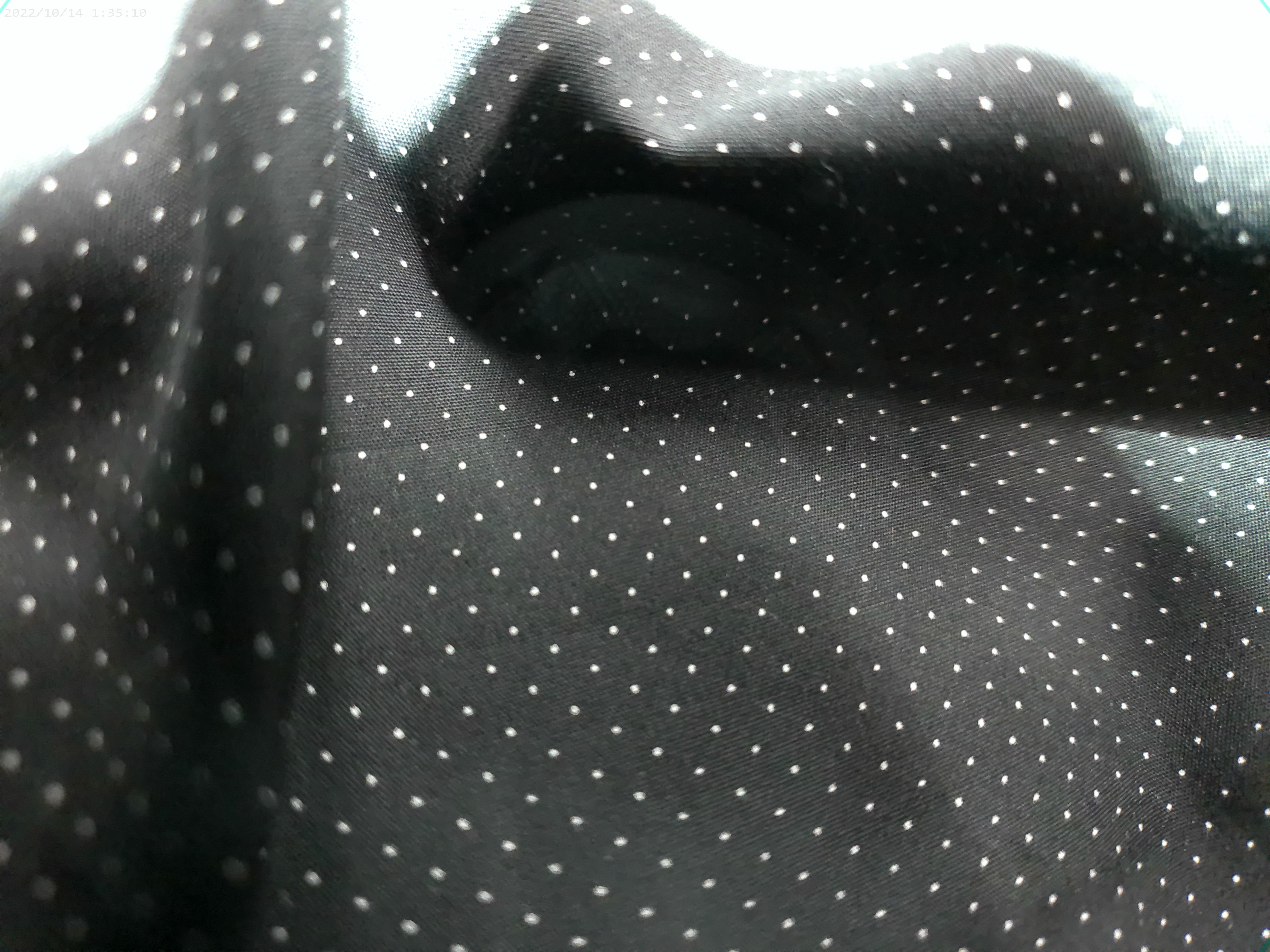 Black White Pin Dot Egyptian Cotton Shirting