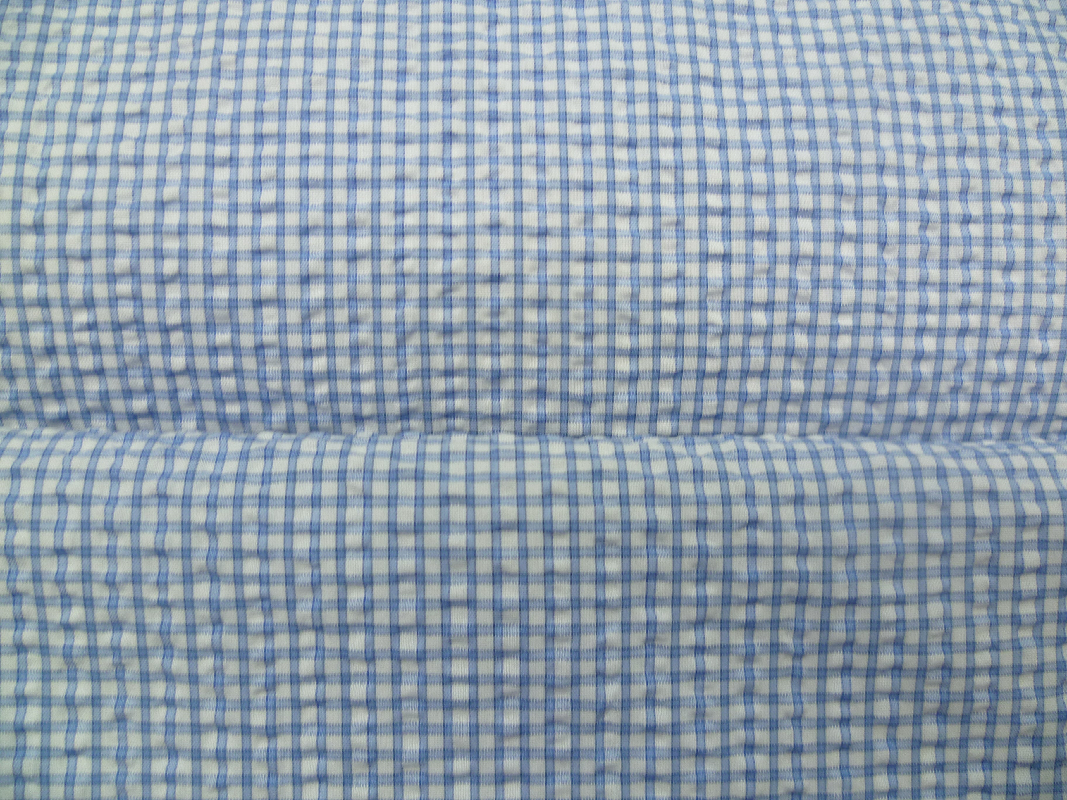 Blue White Check Cotton Blazer Shirting