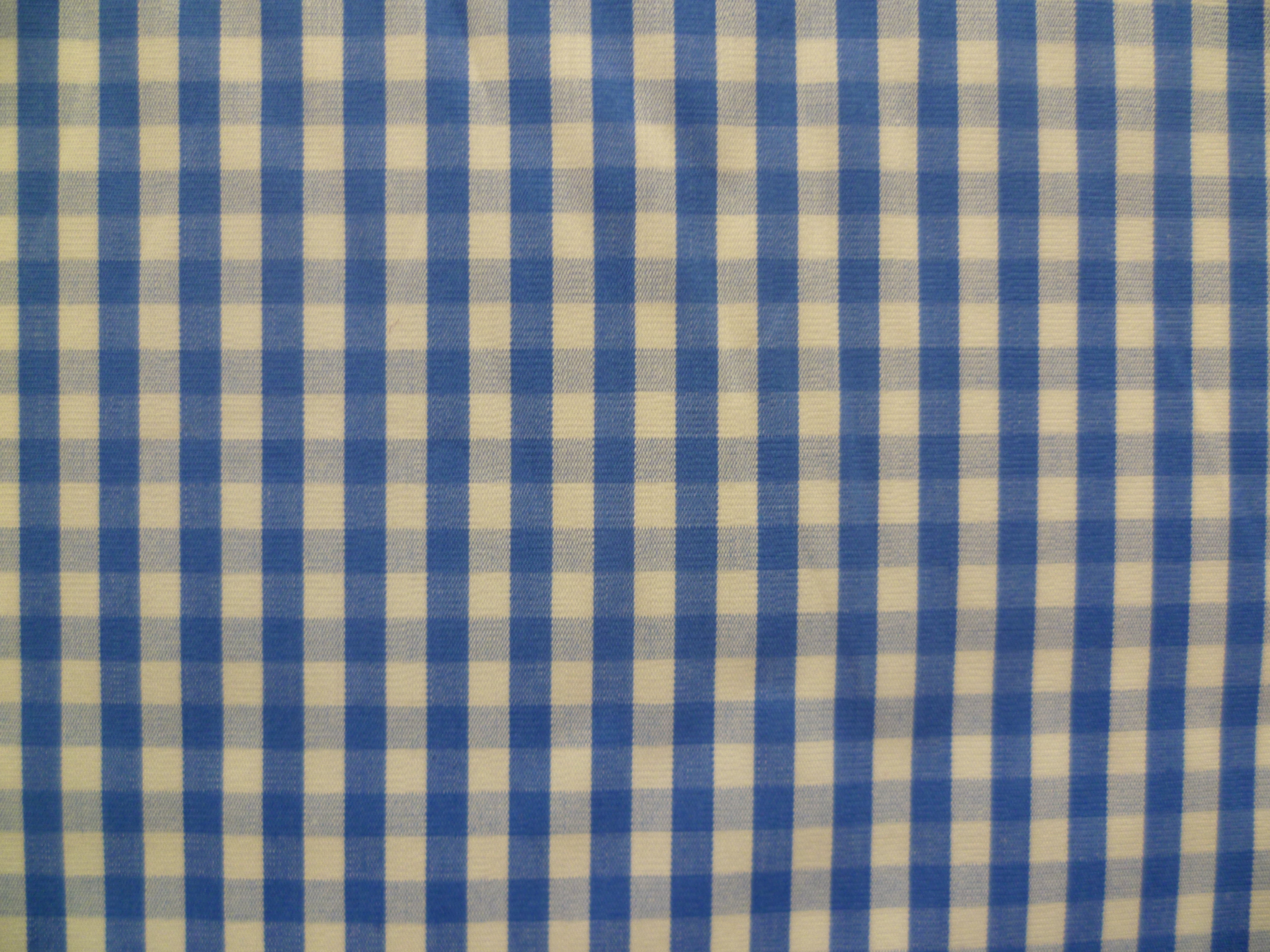 Blue White Check Cotton Shirting