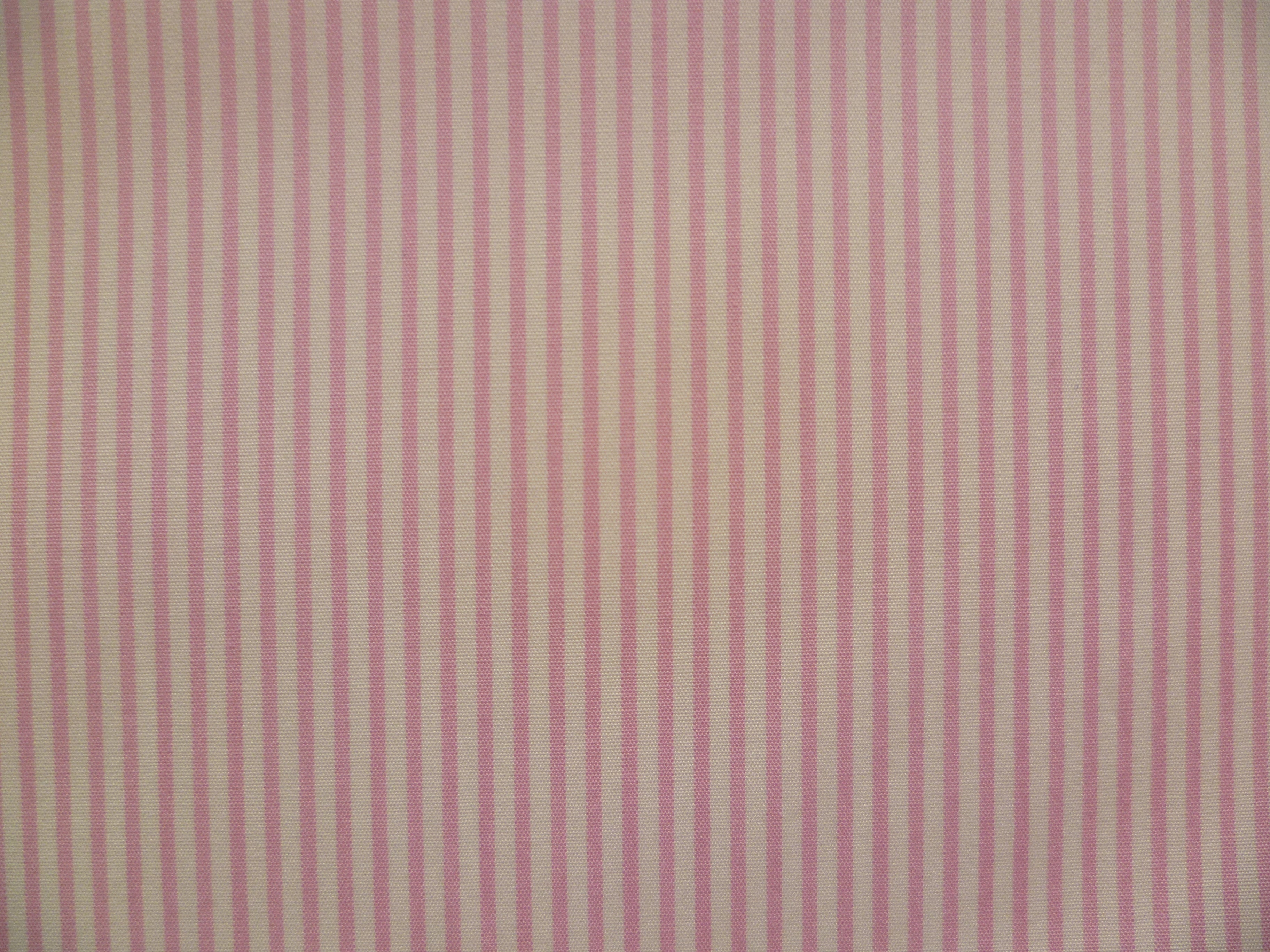 Bright Pink White Stripe Cotton Shirting