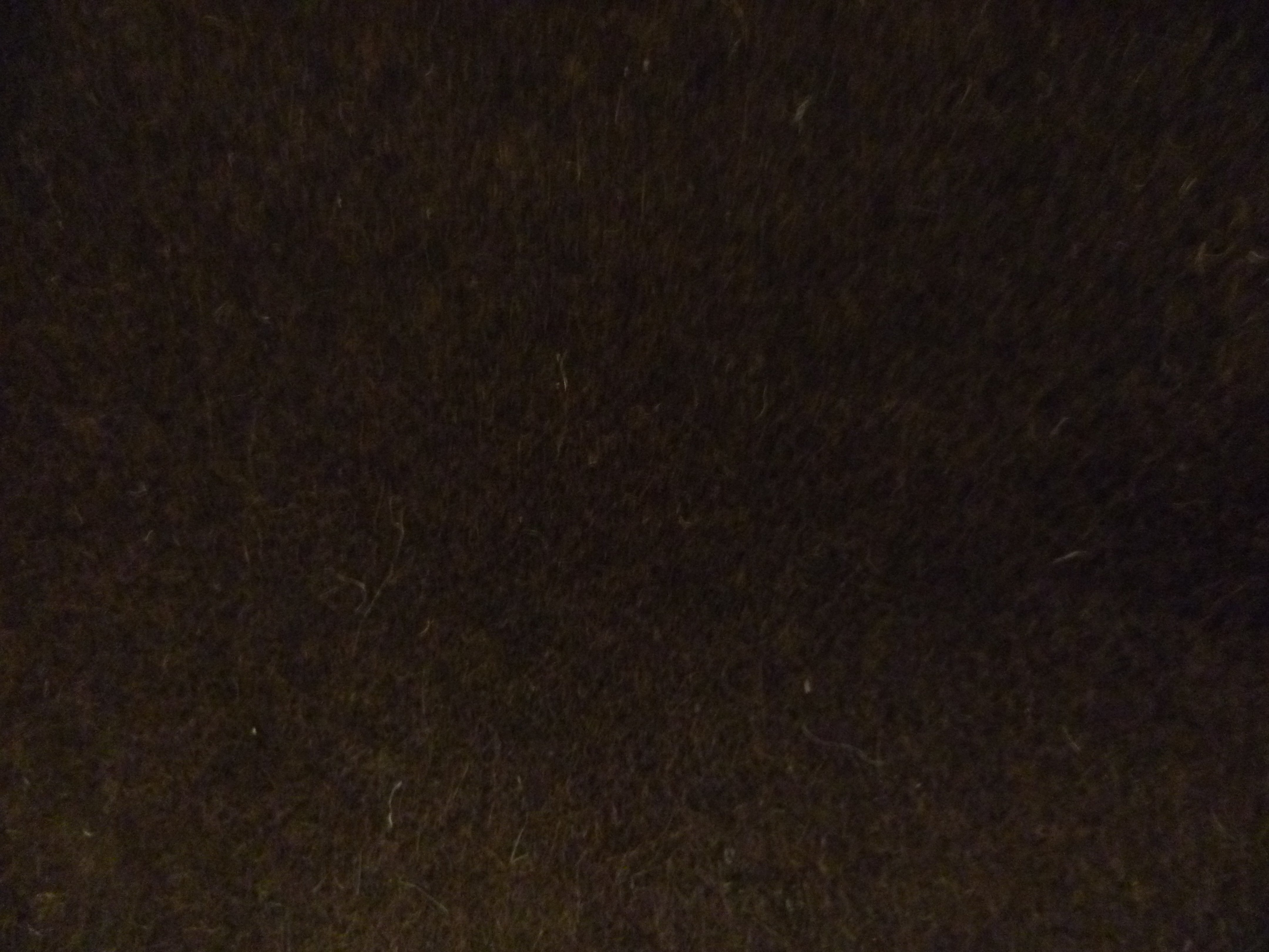 Chocolate Brown Wool Cashmere Blazer