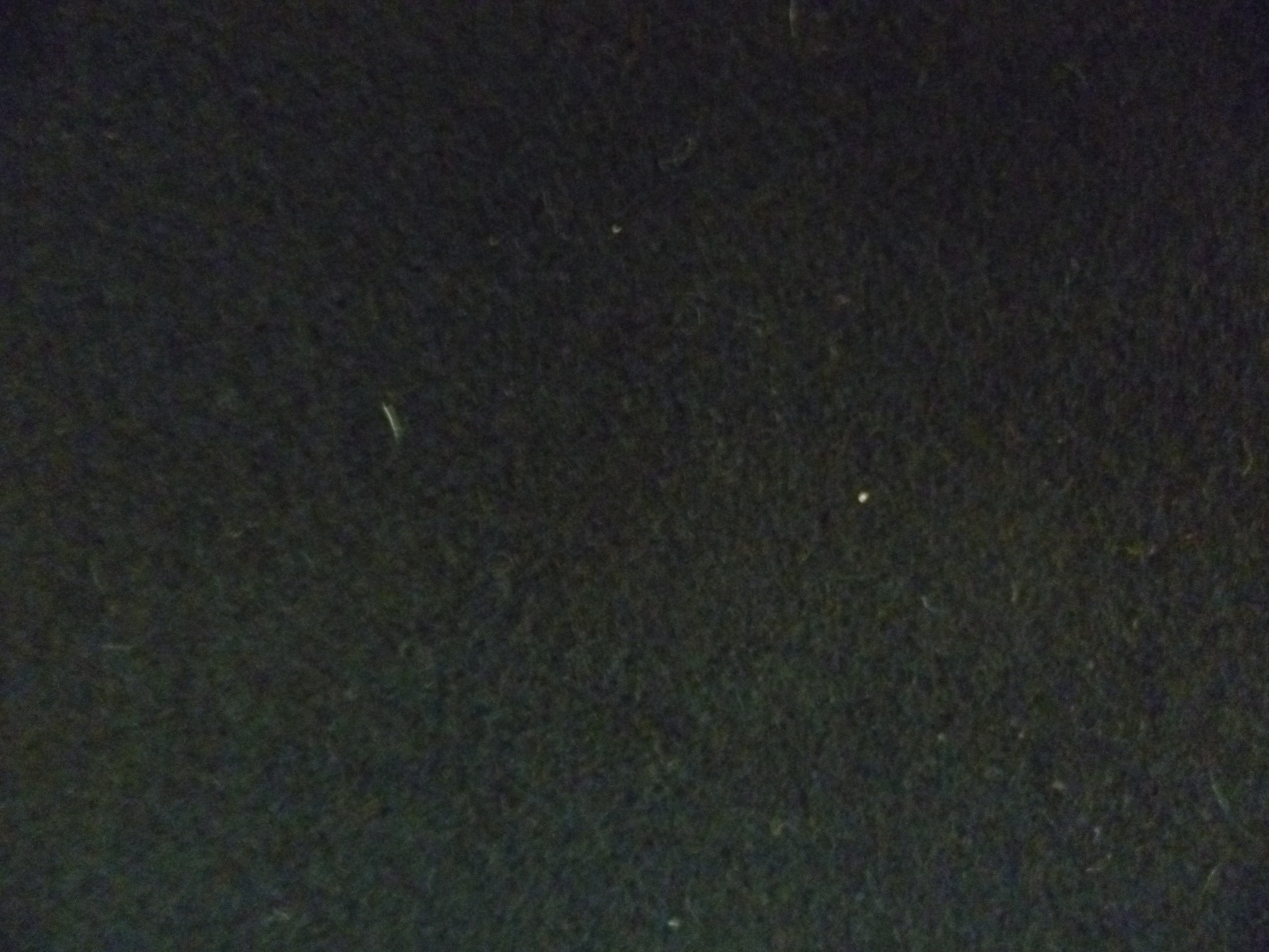 Dark Green Plain Wool Coating