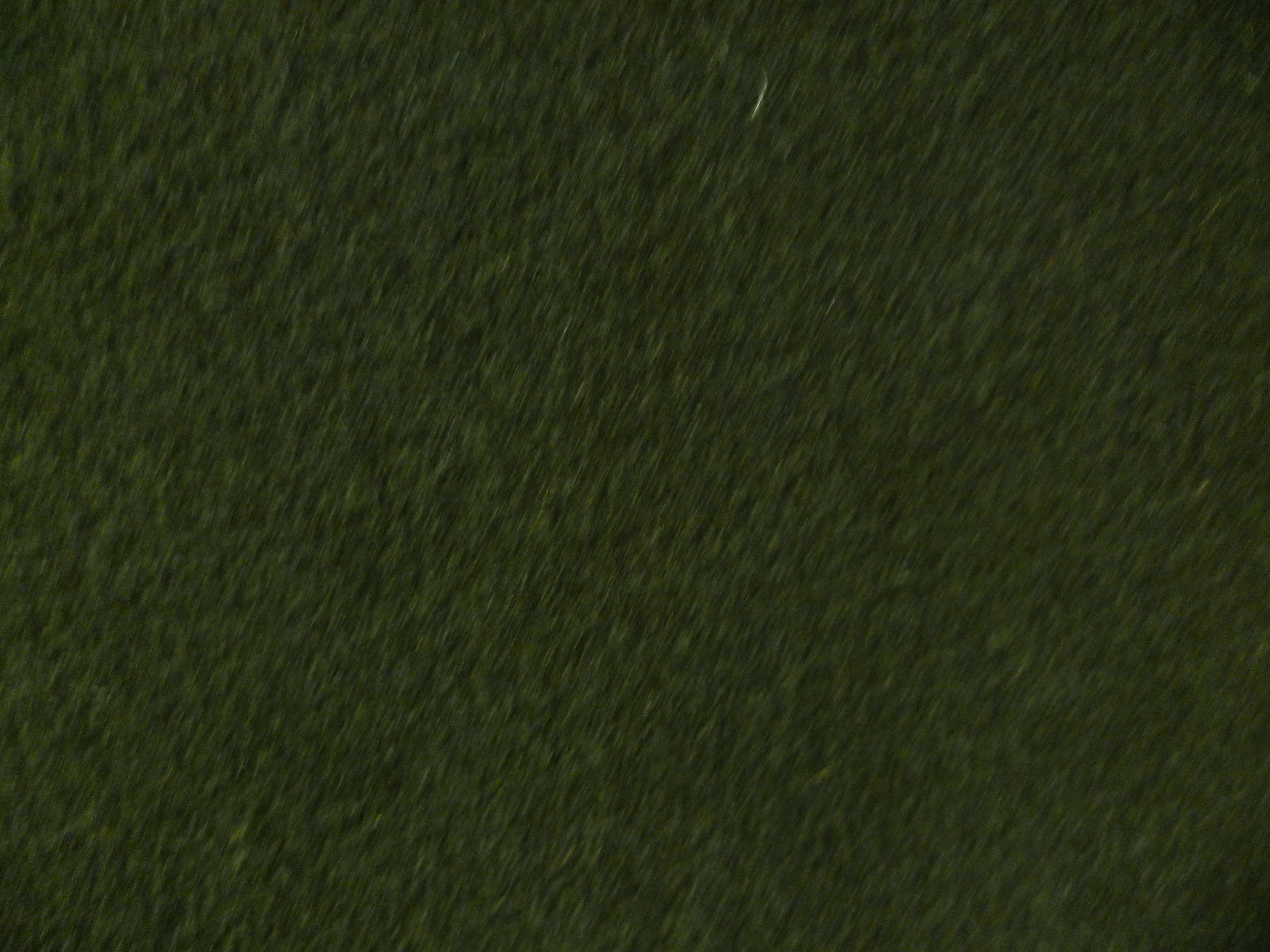 Emerald Green Plain Wool Coating