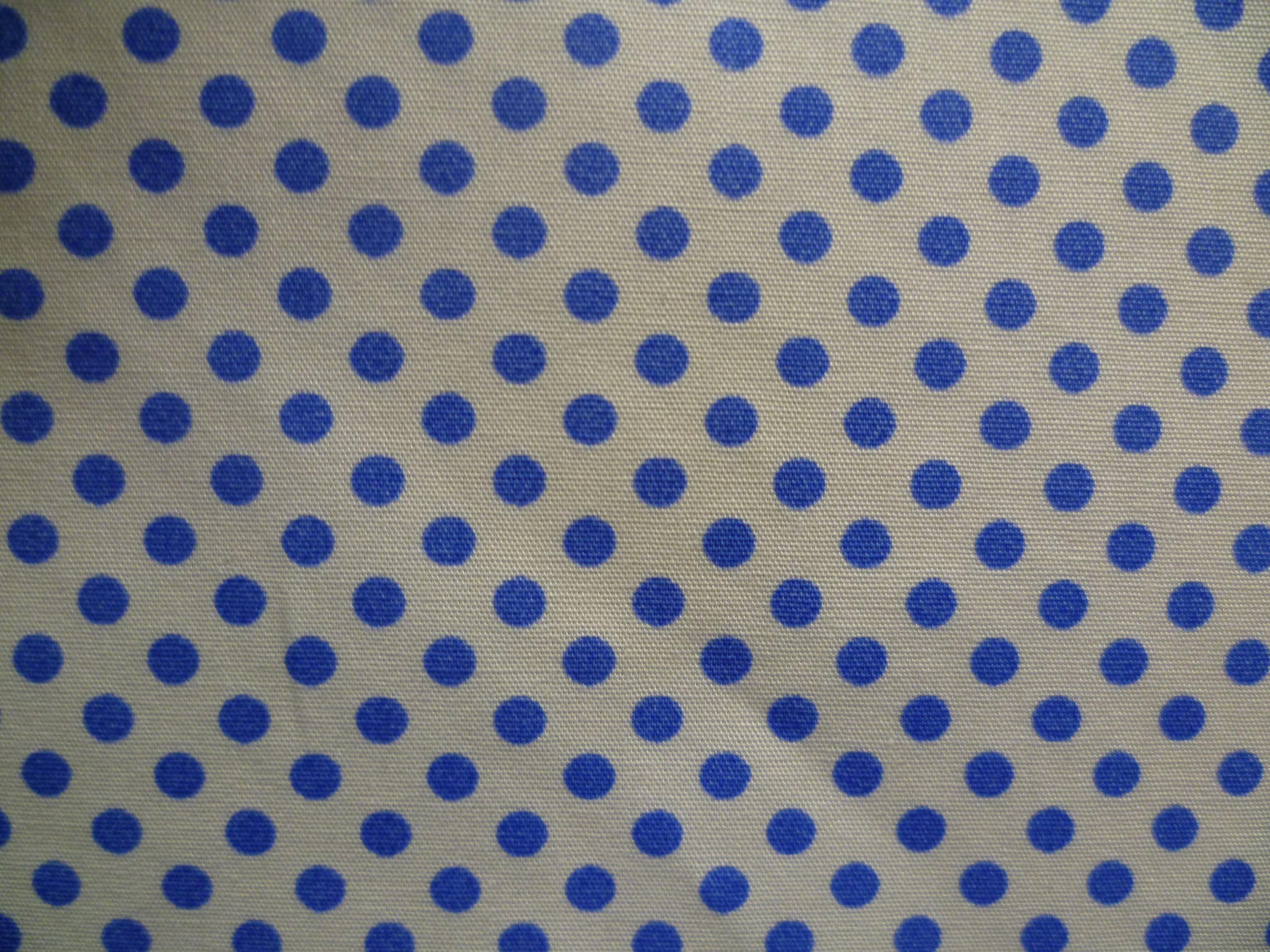 French Blue White Pin Dot Cotton Dresses Shirting