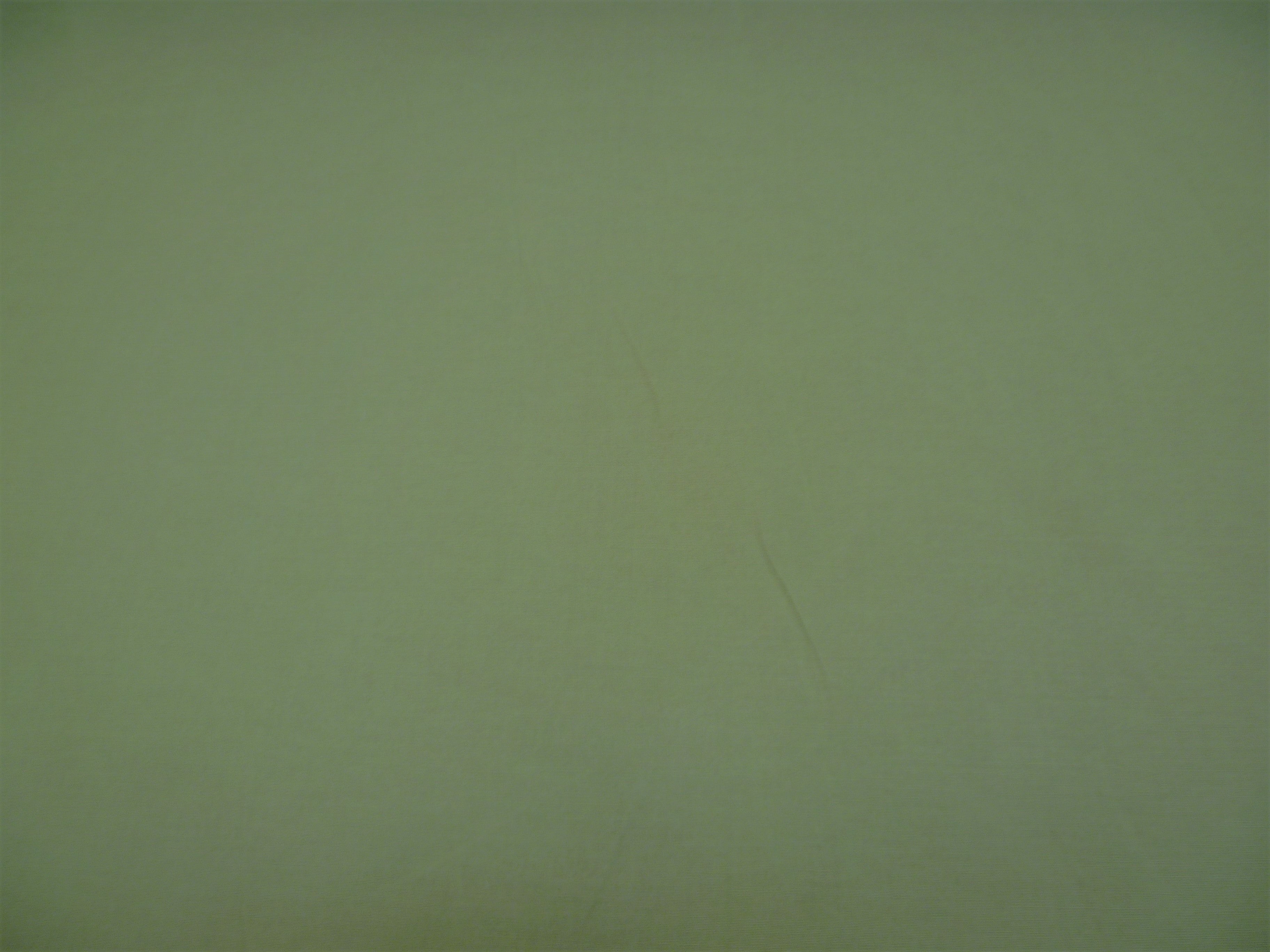 Light Green Plain Cotton Coating Interior