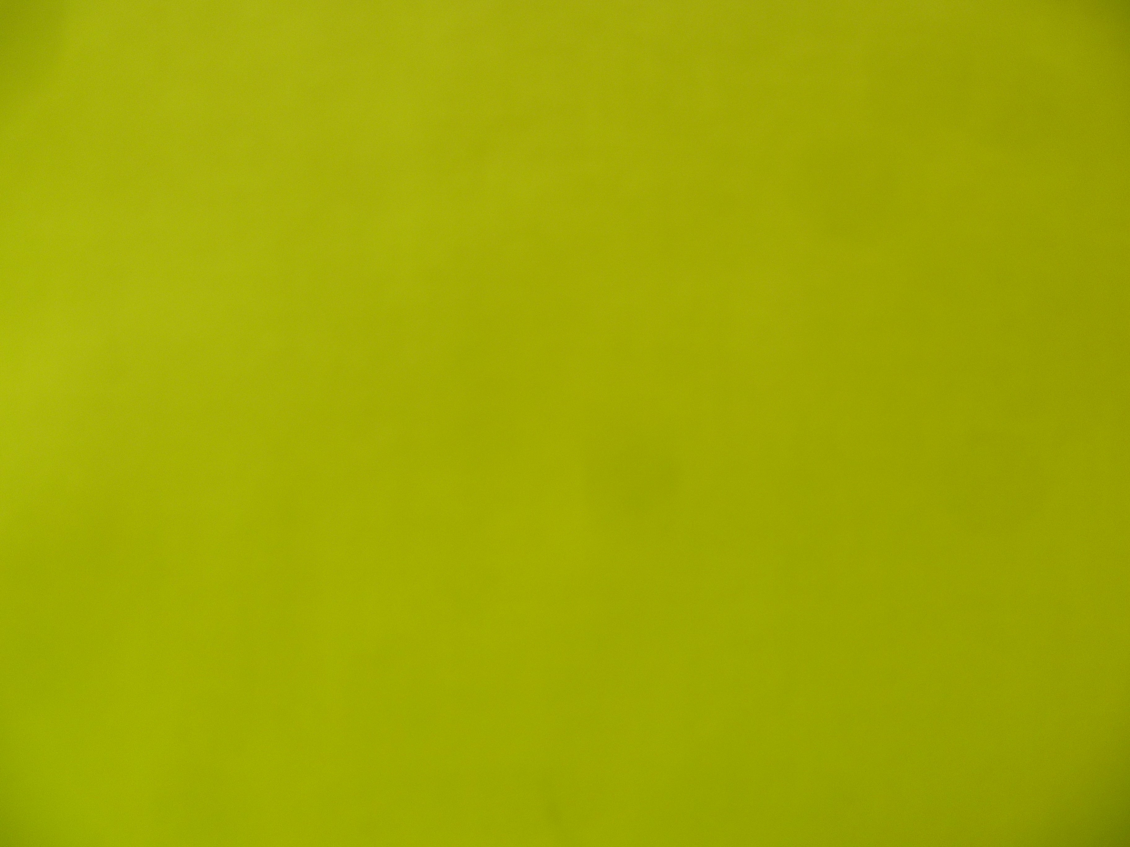 Lime Green Plain Cotton Shirting