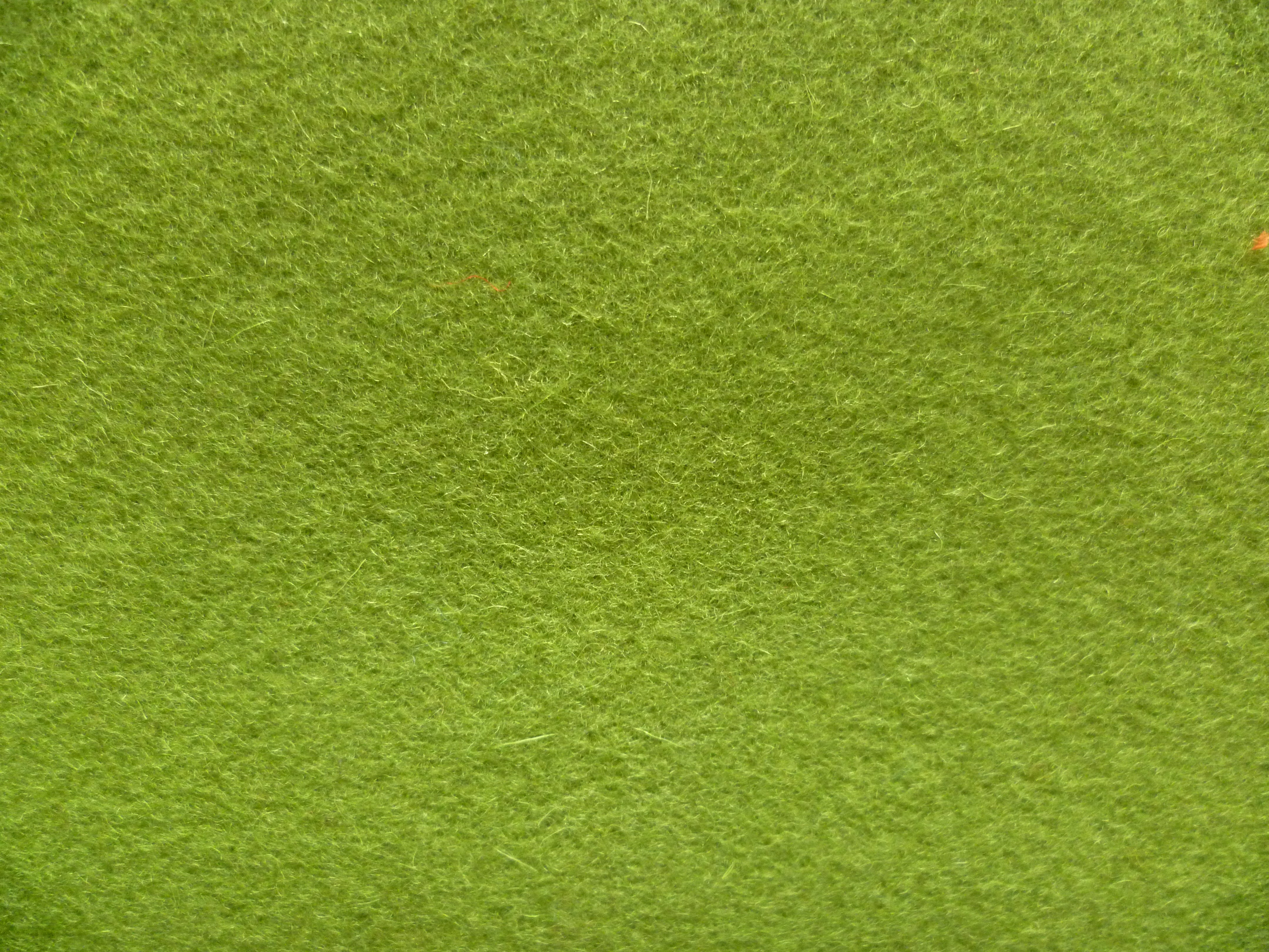 Mint Green Plain Wool Coating