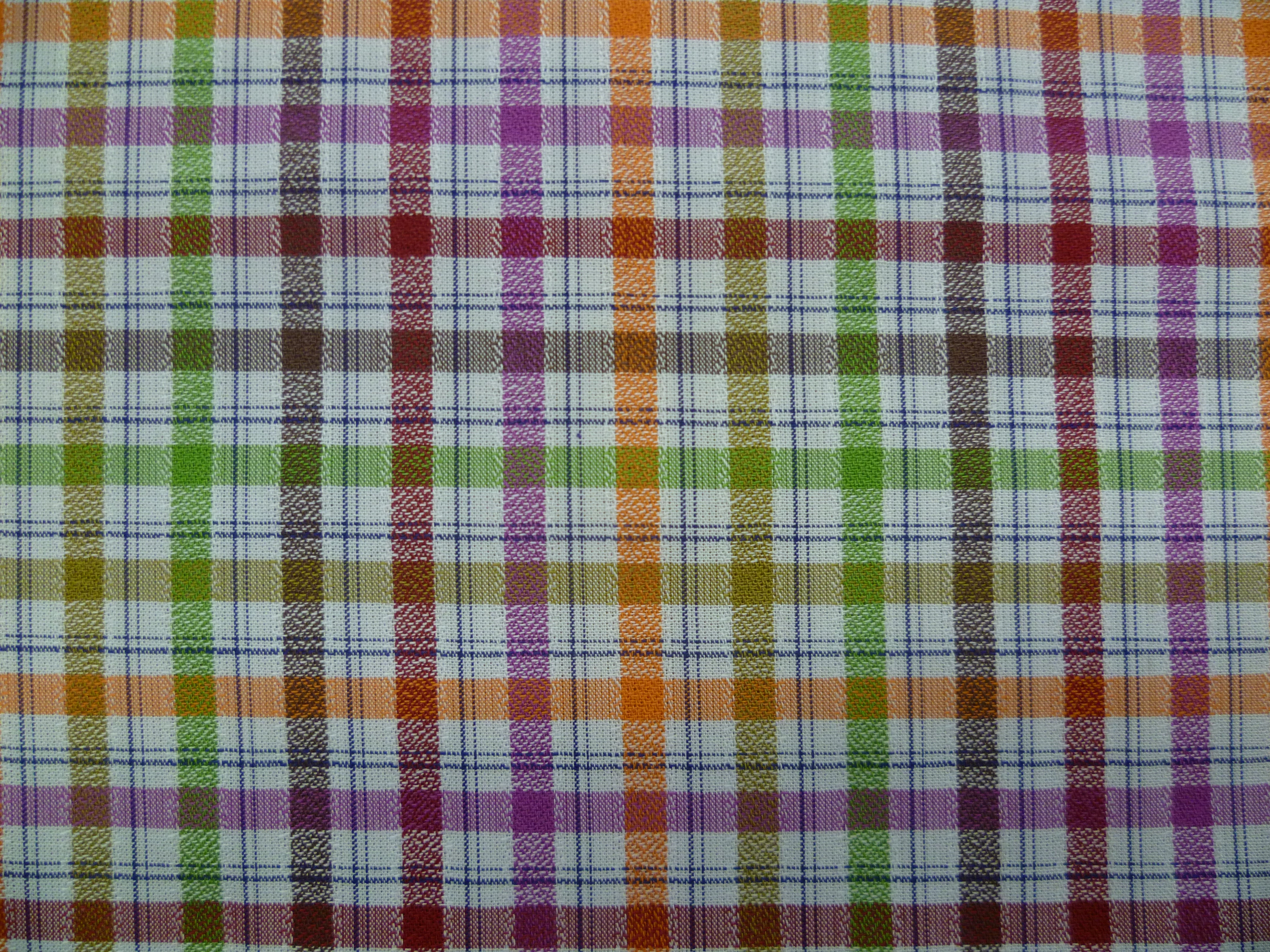 Multicolour Check Cotton Shirting