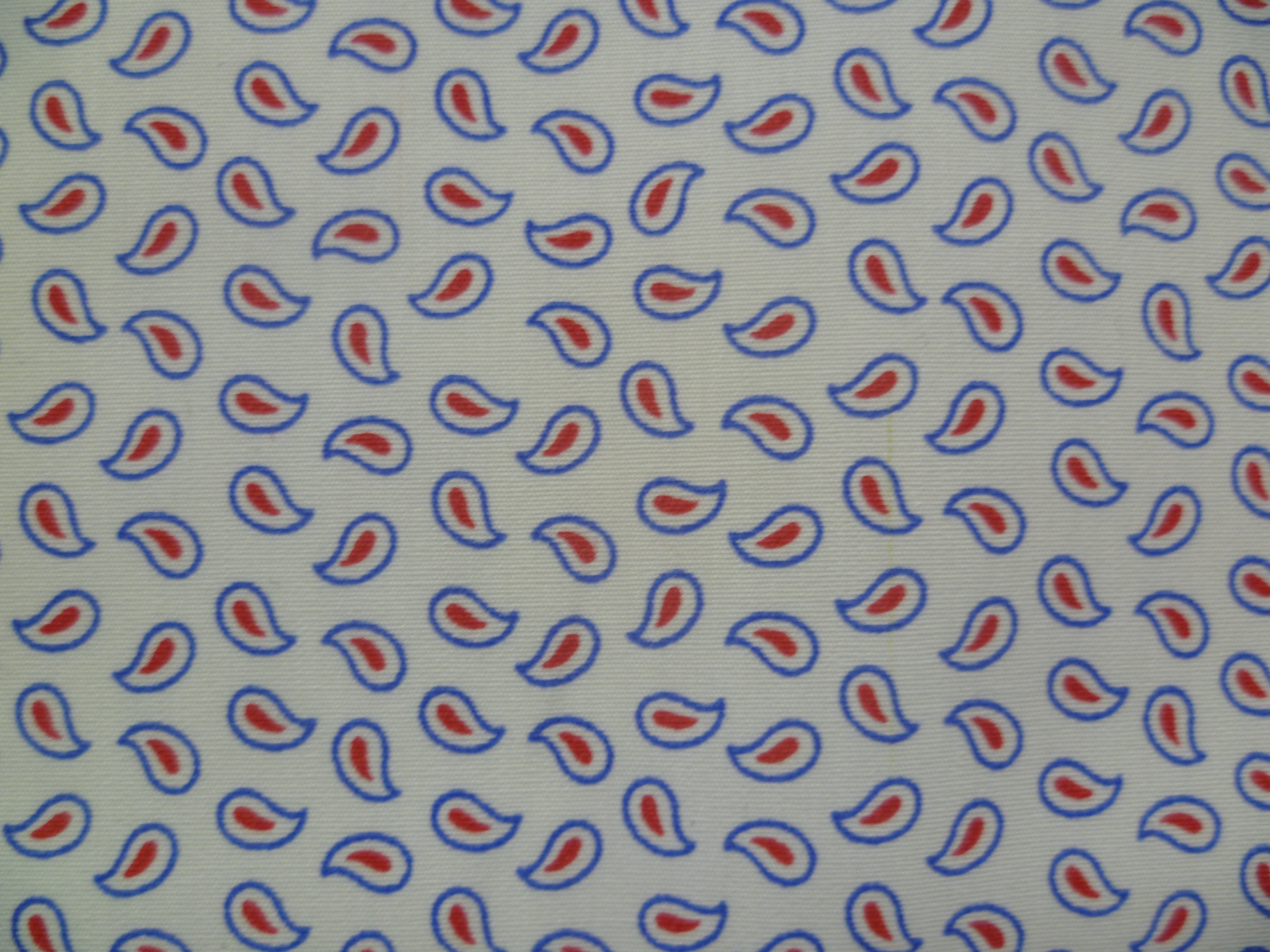 Multicolour Paisley Cotton Dresses Shirting