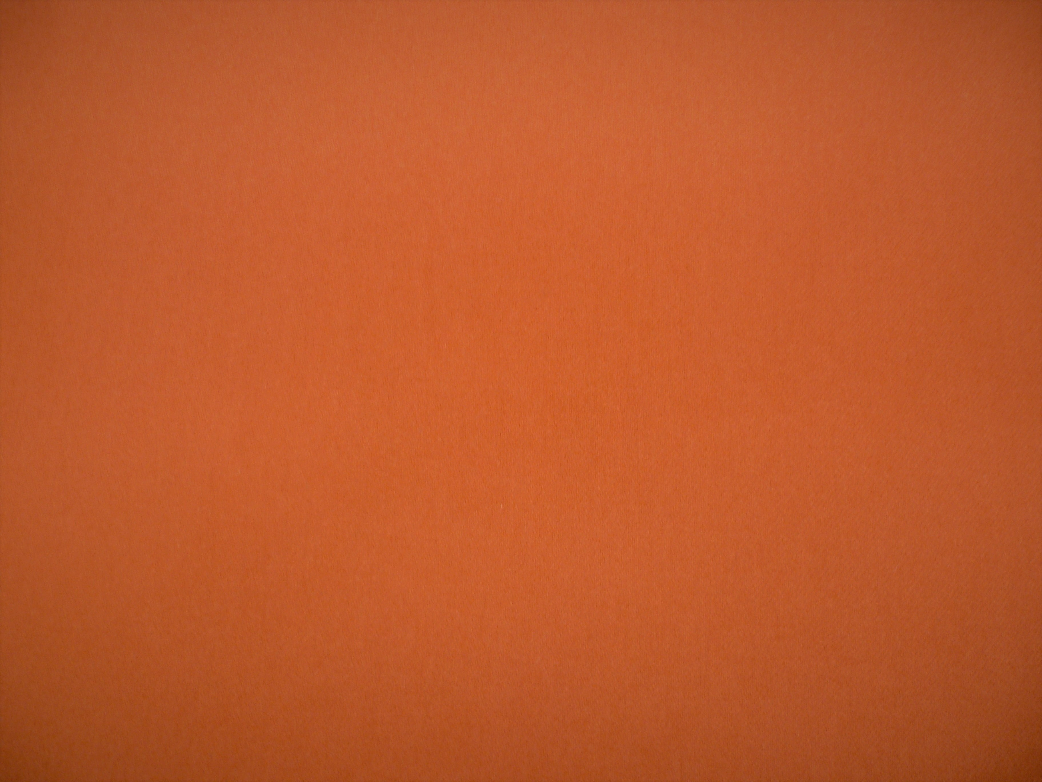 Orange Plain Wool Coating