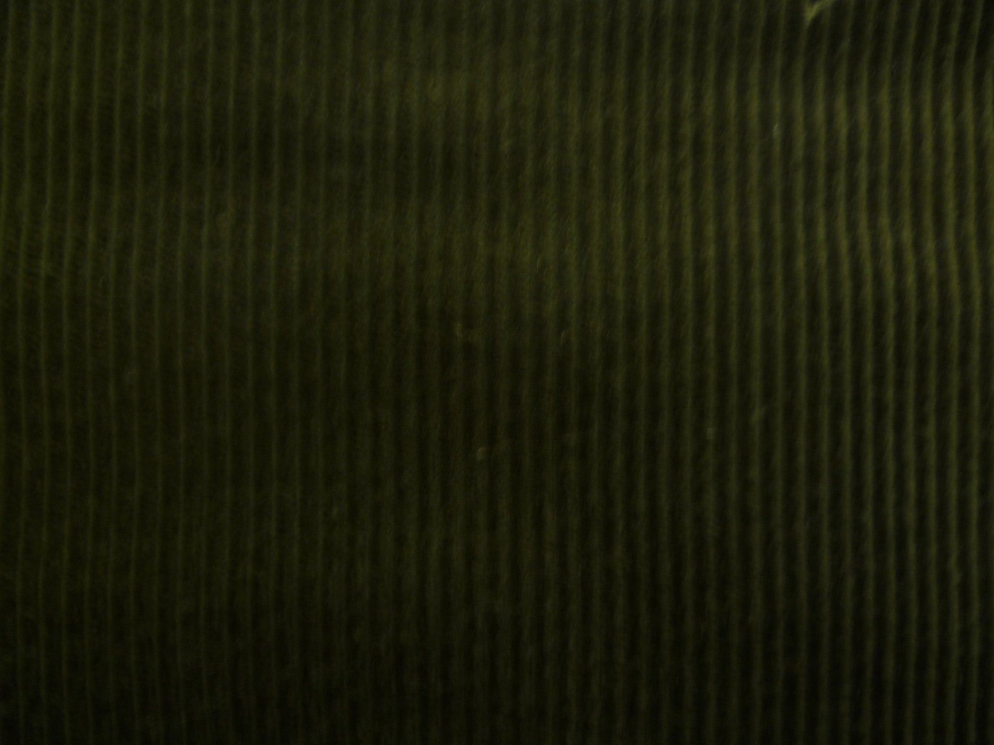Cotton Corduroy ( NEW )
