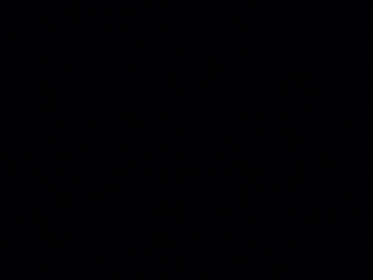 Wool crepe . (New 2022 )