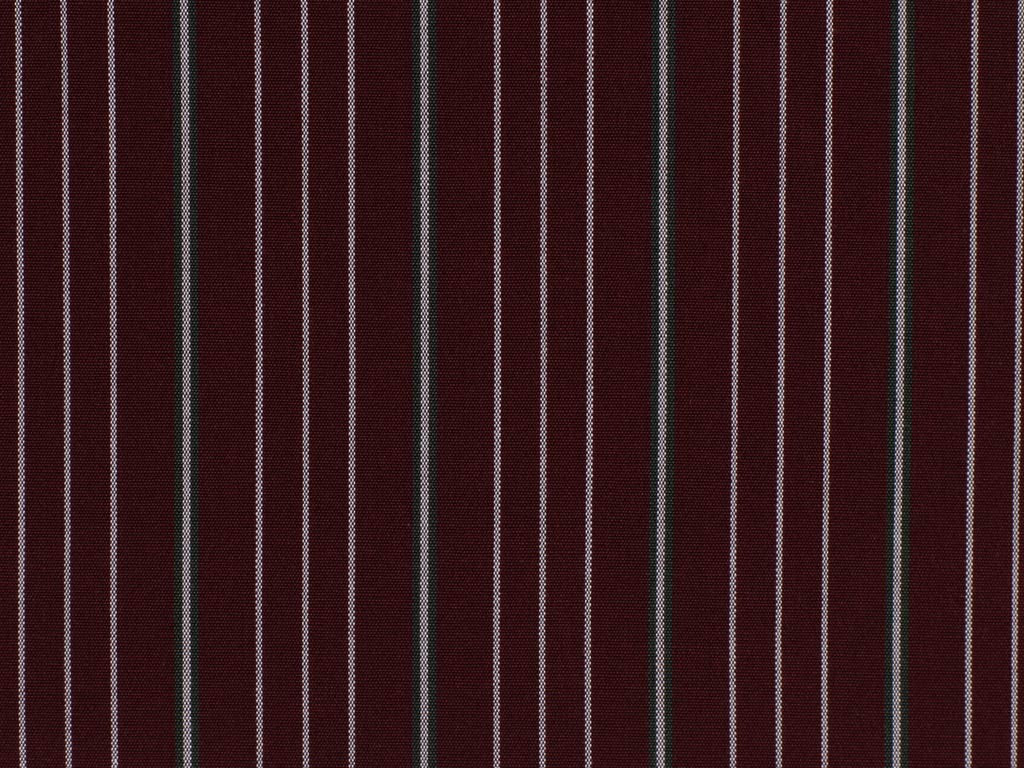 100% Egyptian Cotton