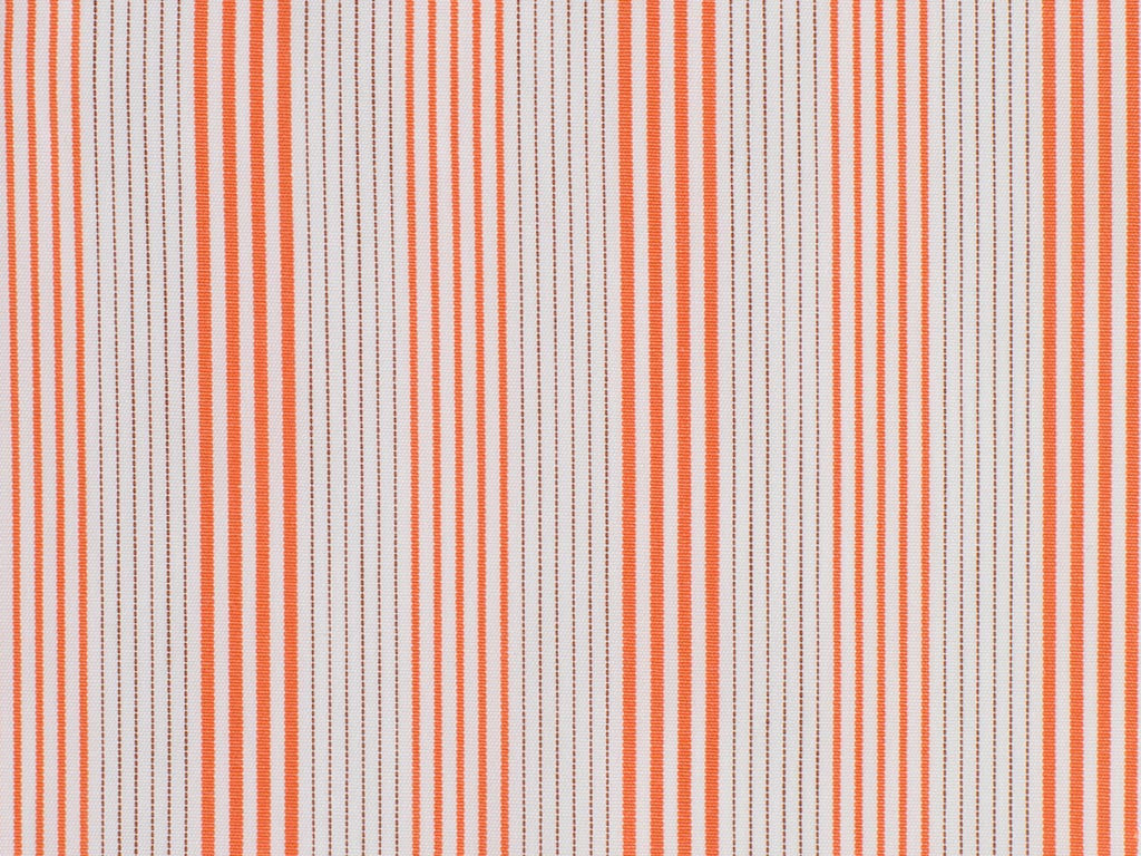 100 % Egyptian Cotton ( NEW )