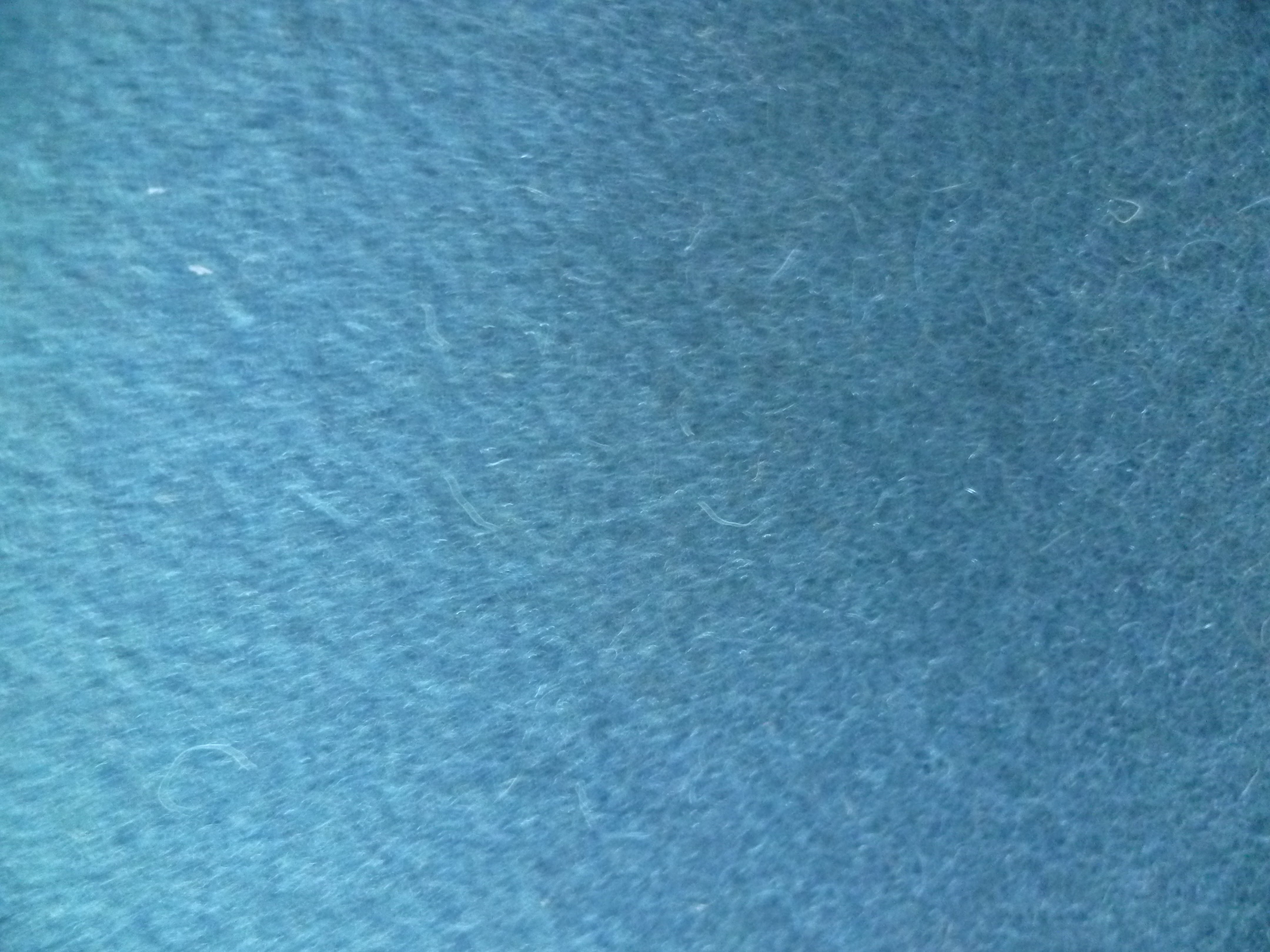 Teal Blue Plain Wool Coating