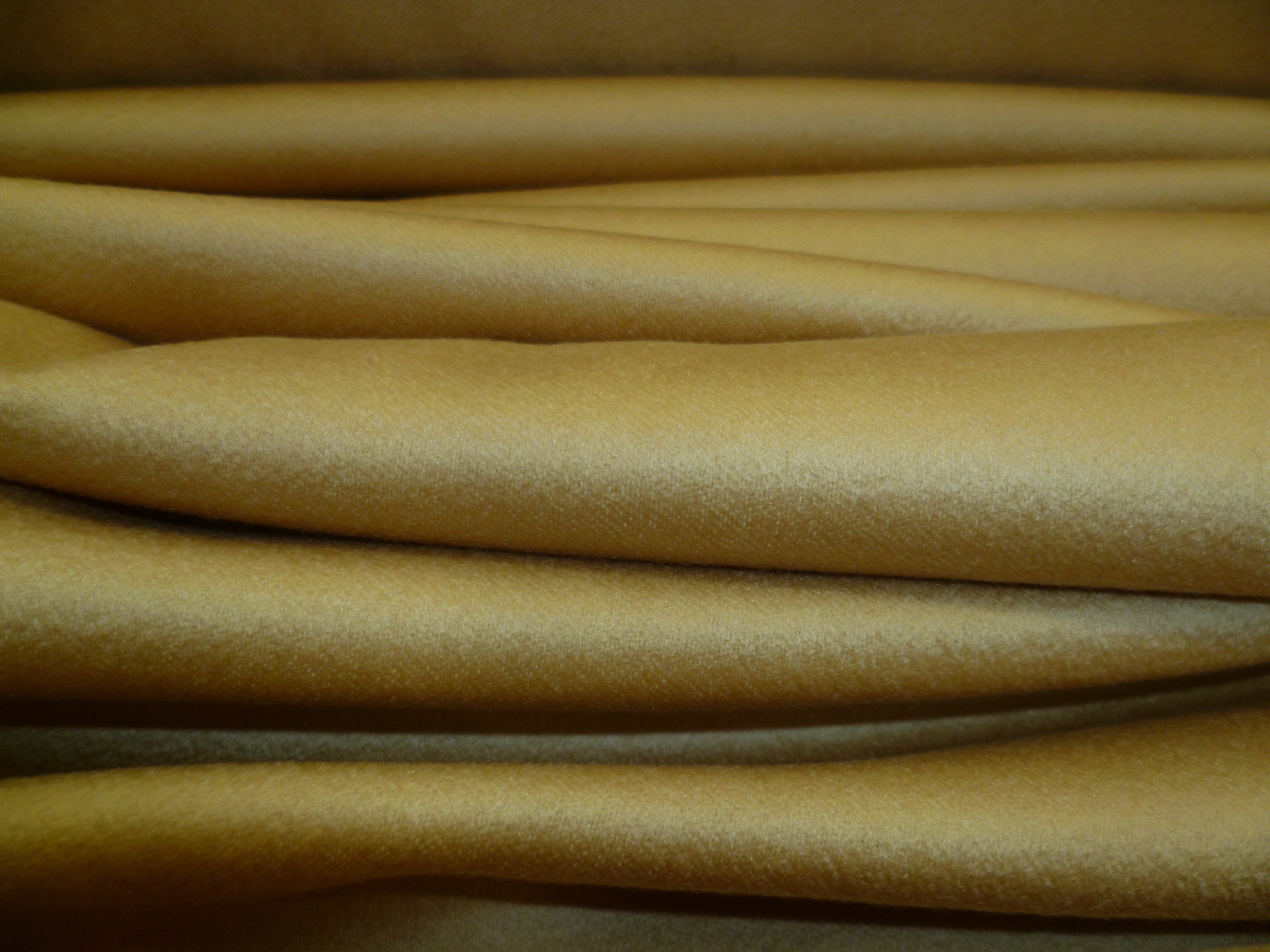 Yellow Gold Plain Cashmere Blazer