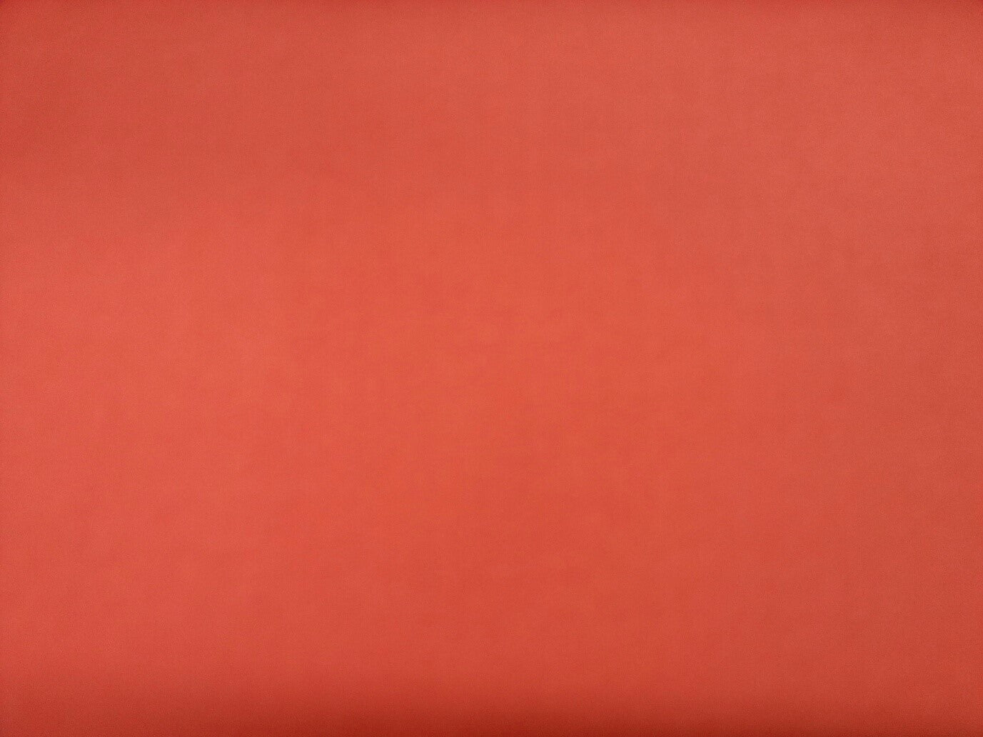 100% Egyptian cotton ( NEW )